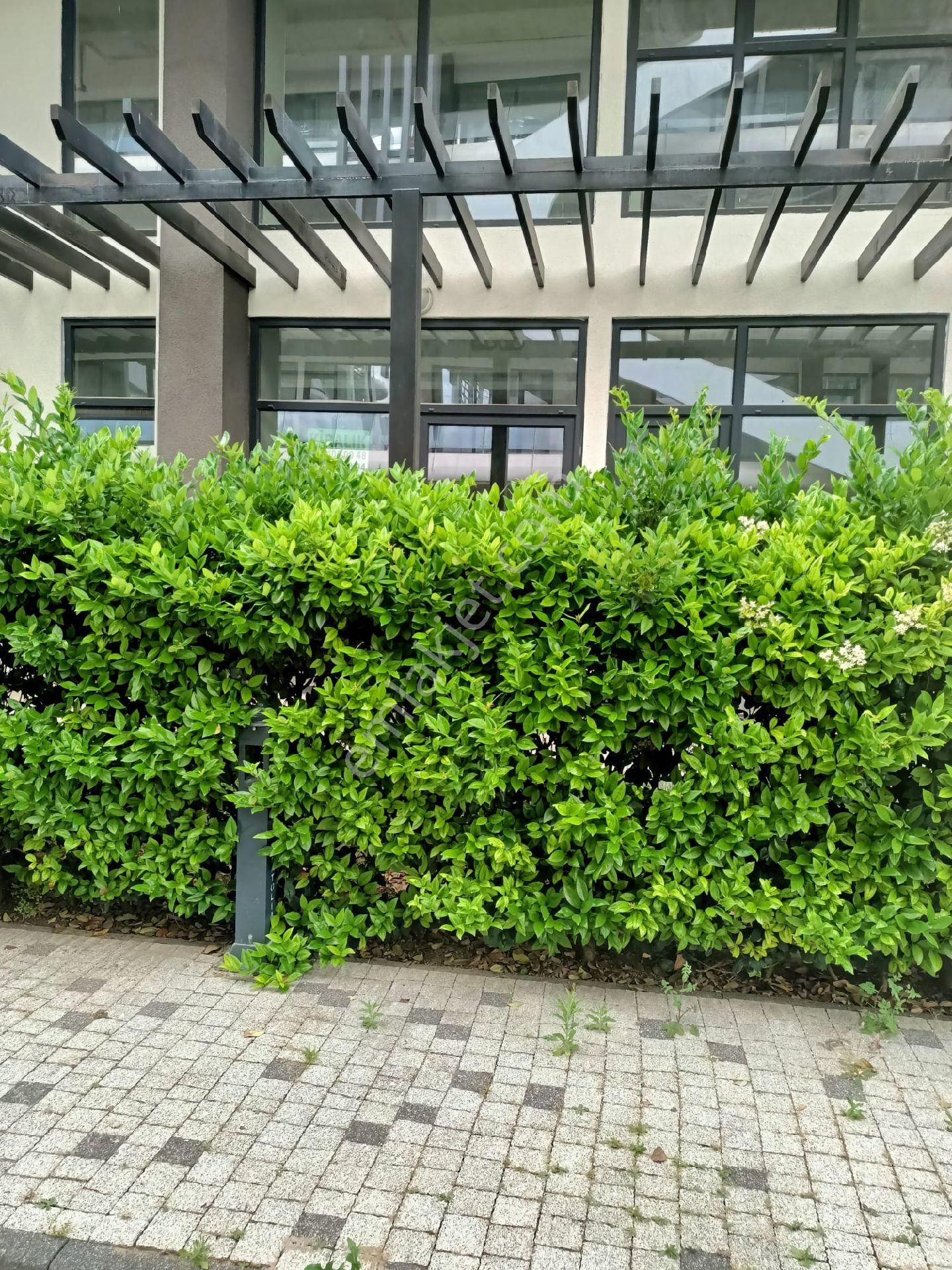 Kocaeli Kartepe Zeray Forum Anatorya Sitesinde Kiralık 3+1 160 Metrekare Bahçe Katı