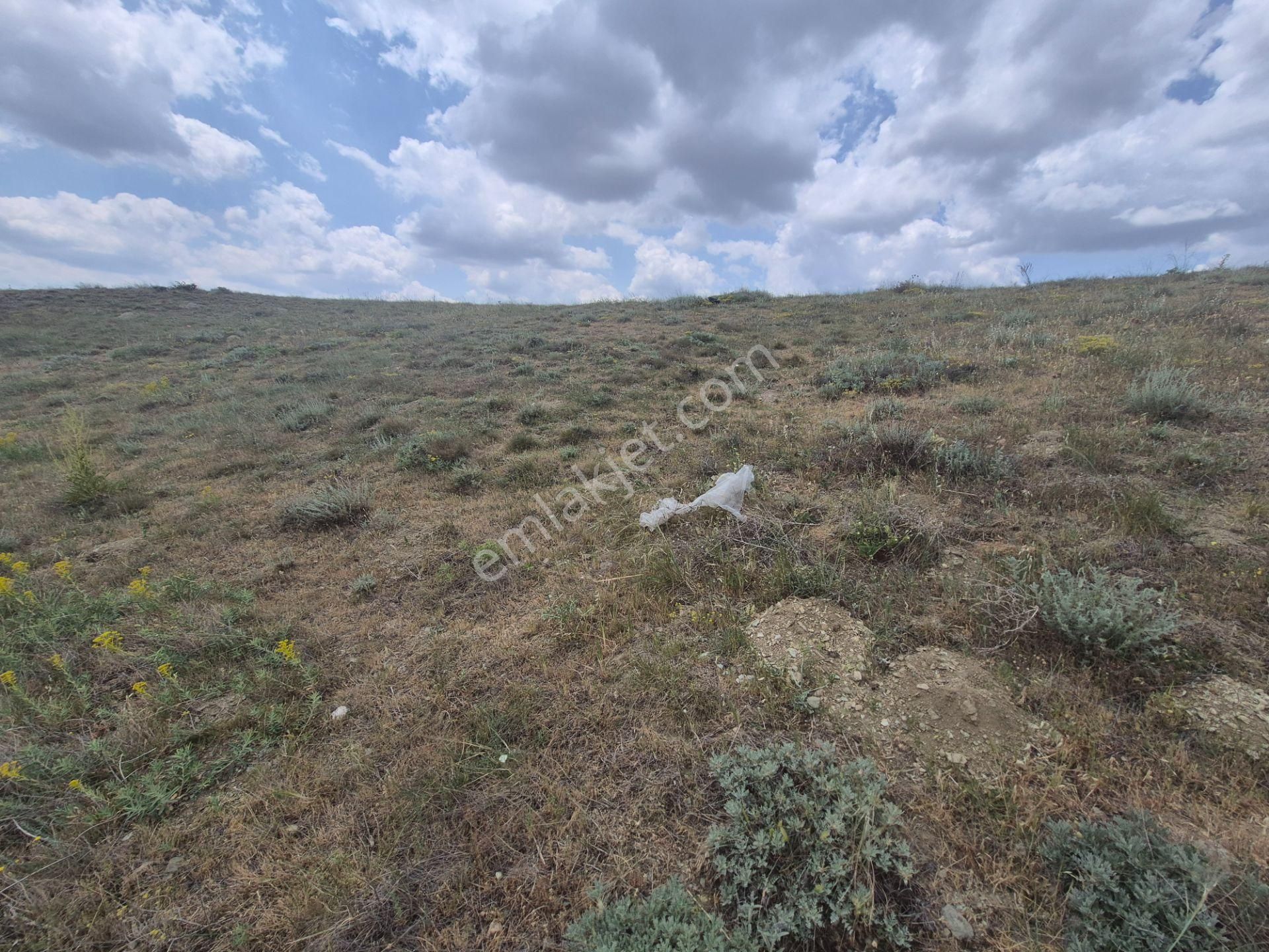 Tepebaşı Hisar Mah 13.250 M2 Yatırımlık Tarla Takasa Açık Sho-37
