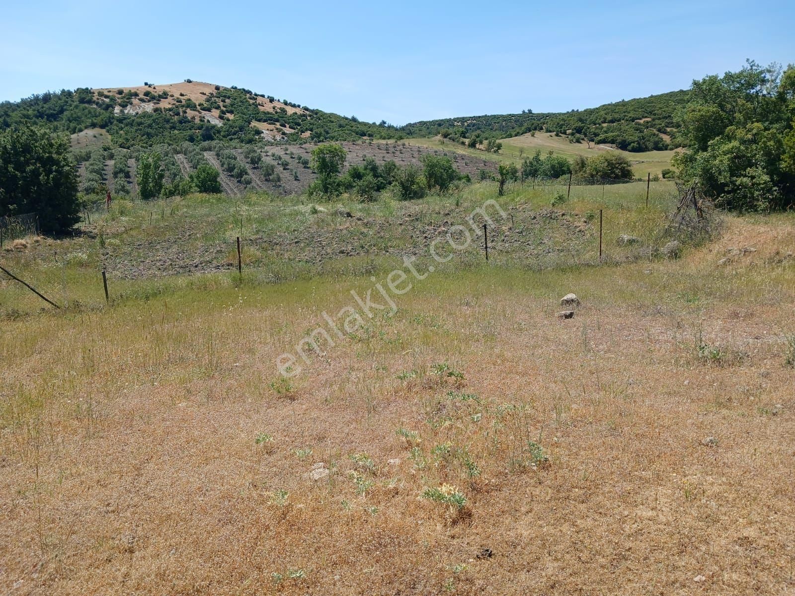 Mustaklar Mahallesinde Köye Yakın 4.000 M2 Tarla