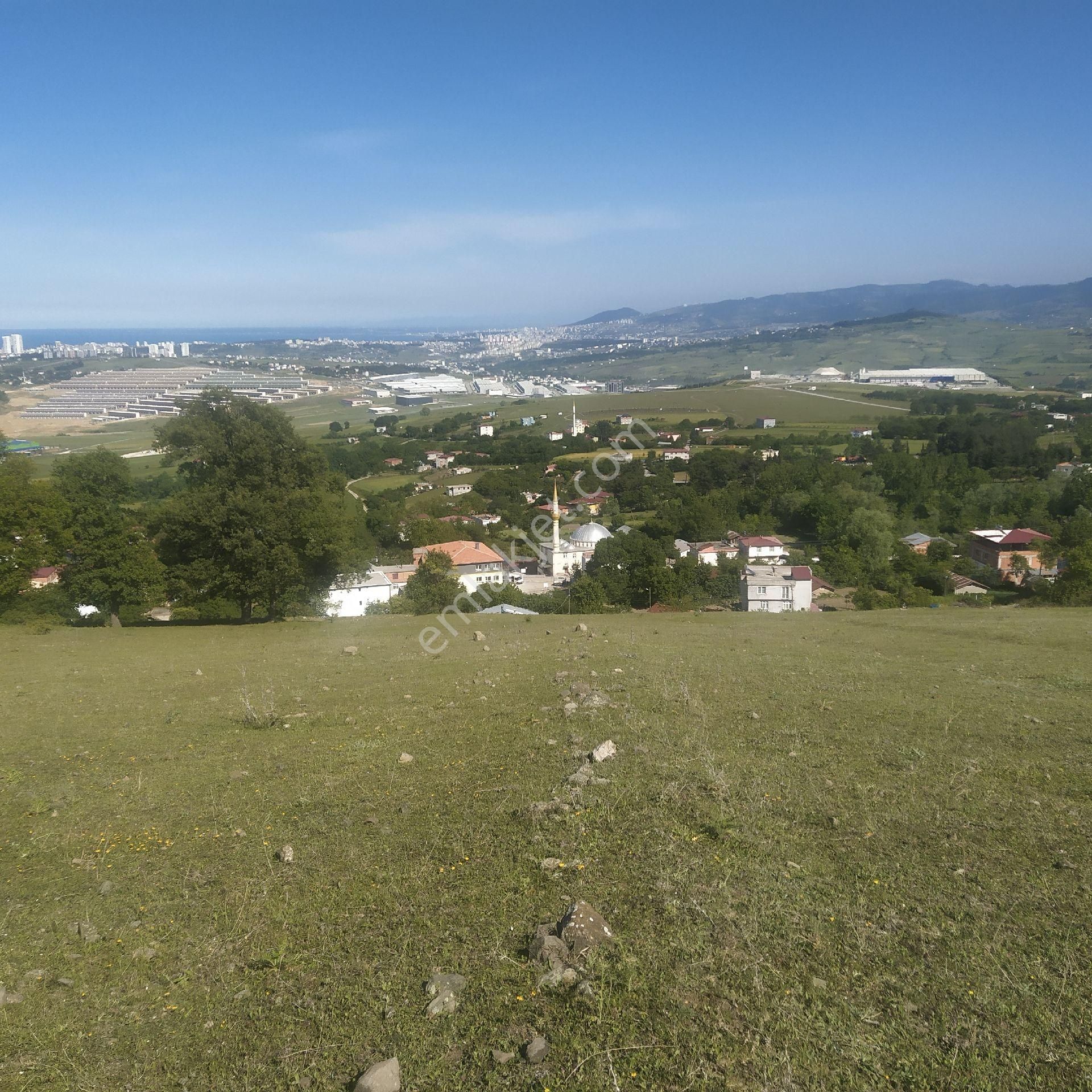 Yatırım Plus'tan Atakum Kamalıda Panoramik Deniz Manzaralı Tarla - Görsel 7