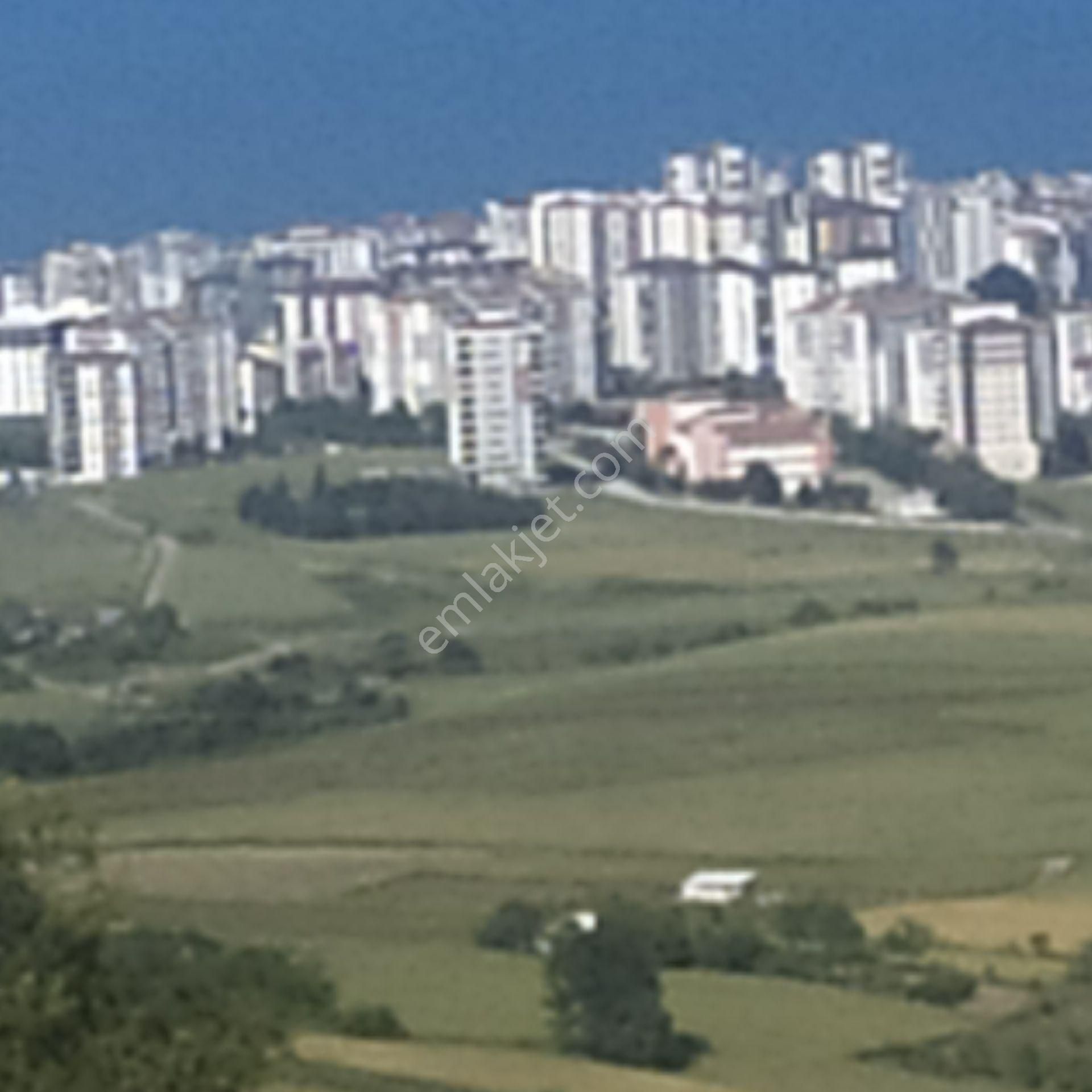 Yatırım Plus'tan Atakum Kamalıda Panoramik Deniz Manzaralı Tarla - Görsel 4