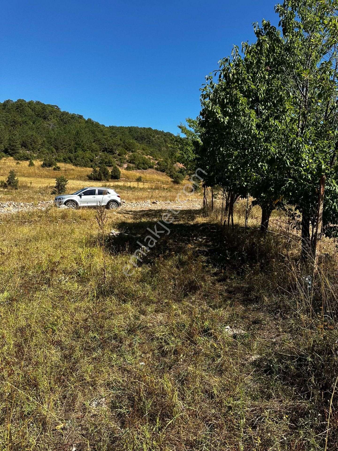 Aslanapa Aslıhanlarda 817,17 M2 Yola Cepheli Fırsat Arazimiz Satılıktır.
