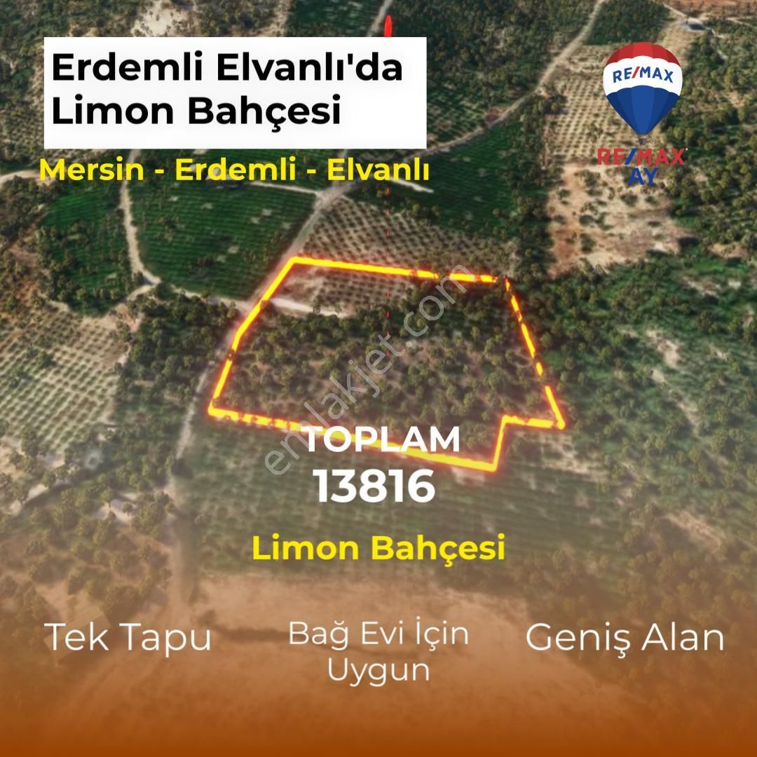 Erdemli/elvanlı'da Satılık Limon Bahçesi - Bahadır Eker'den