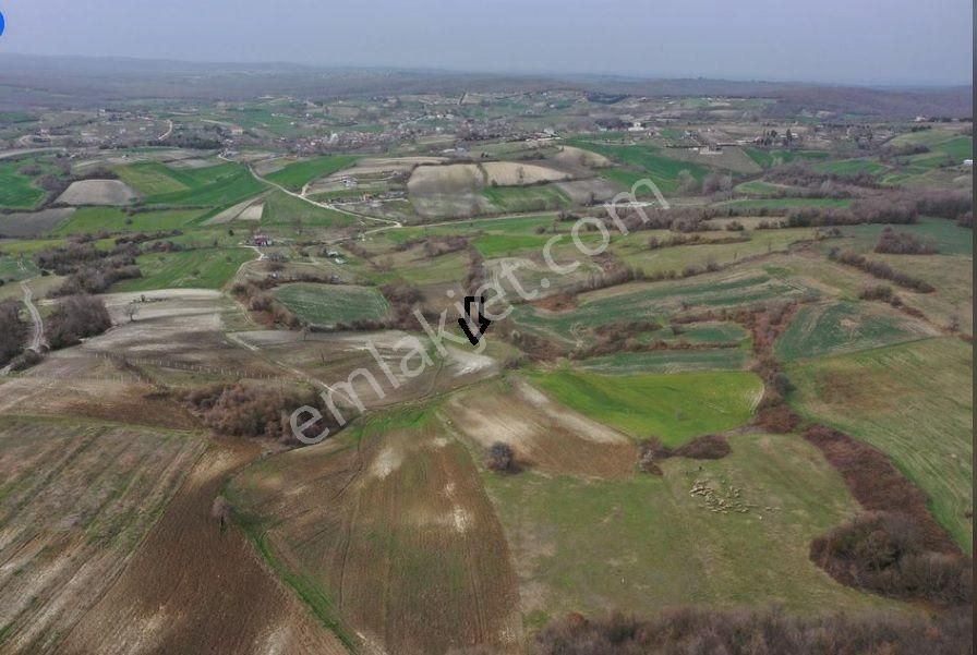 Kelepir Çatalca Örencik Tek Tapu 6400 M2 Yatırımlık Kupon Arazi