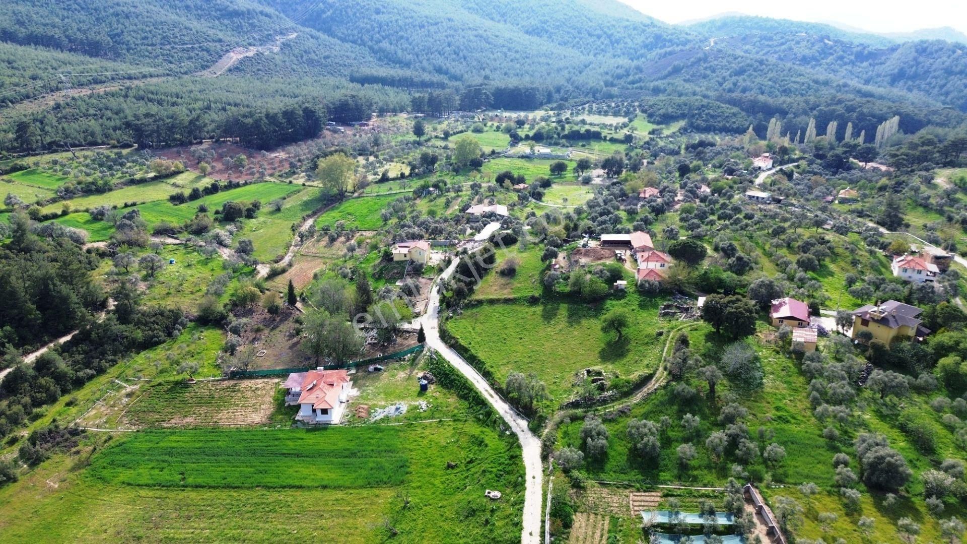 Milas Yaylası Orman, Dere, Kırsal Yerleşimde Özel Yapım Çiftlik Evi Ve Arsası