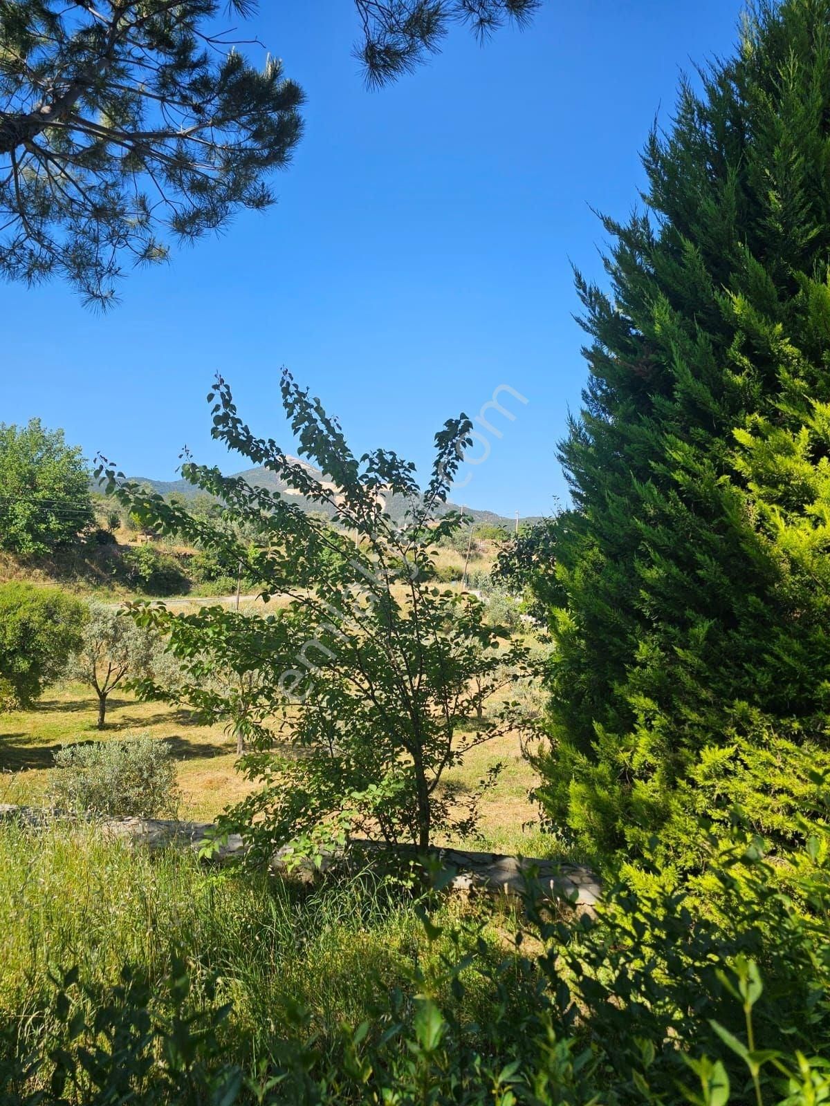 Büyük Fırsat Milas Korucukta Müstakil Villa Ve 6 Villalık Arsası - Görsel 34