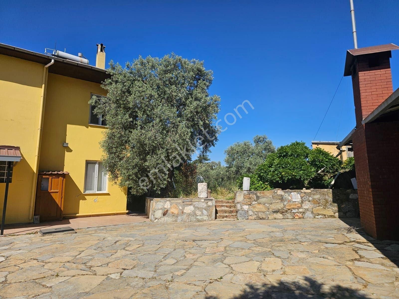 Büyük Fırsat Milas Korucukta Müstakil Villa Ve 6 Villalık Arsası - Görsel 4