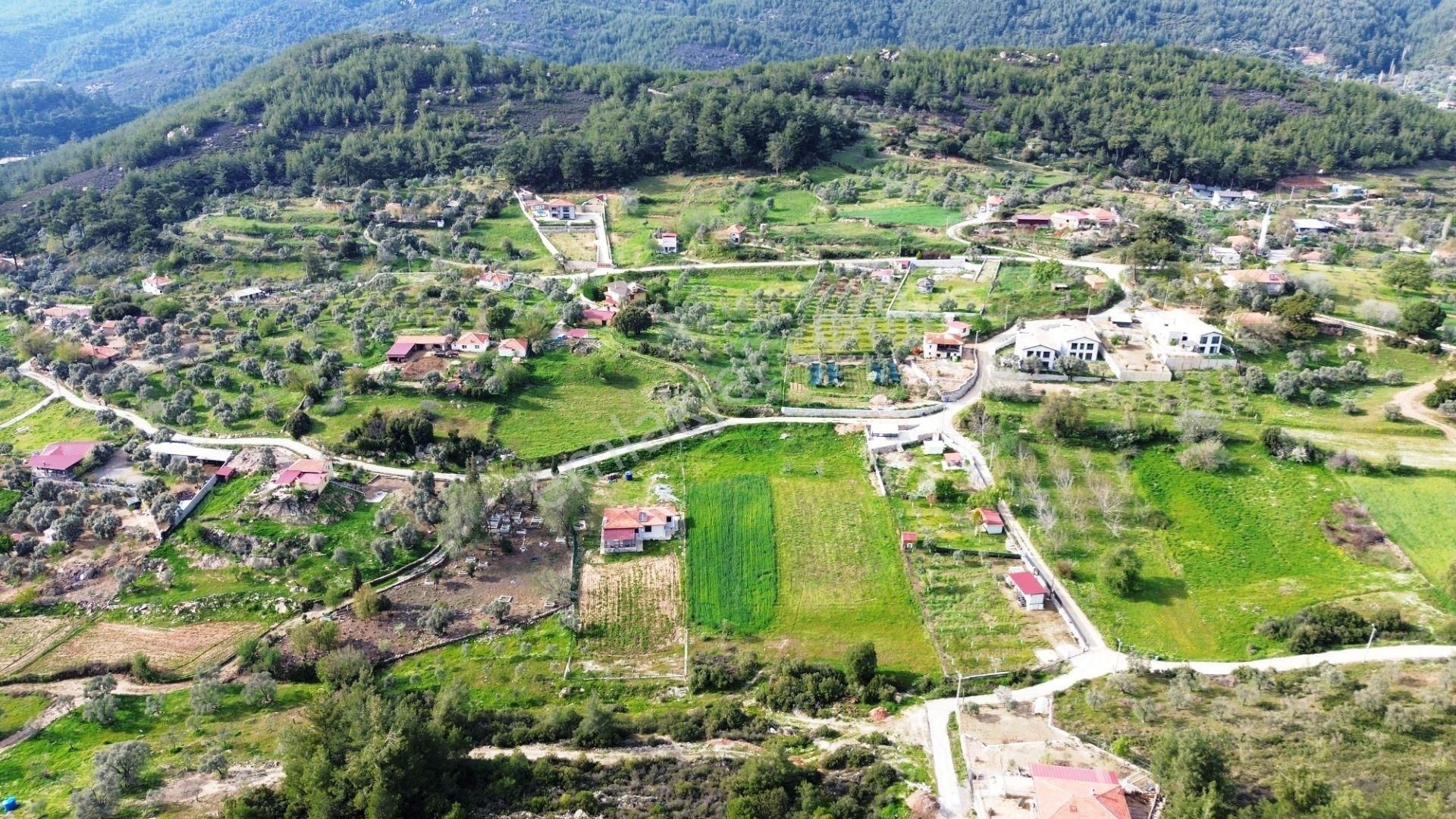 Büyük Fırsat Milas Korucukta Müstakil Villa Ve 6 Villalık Arsası - Görsel 22