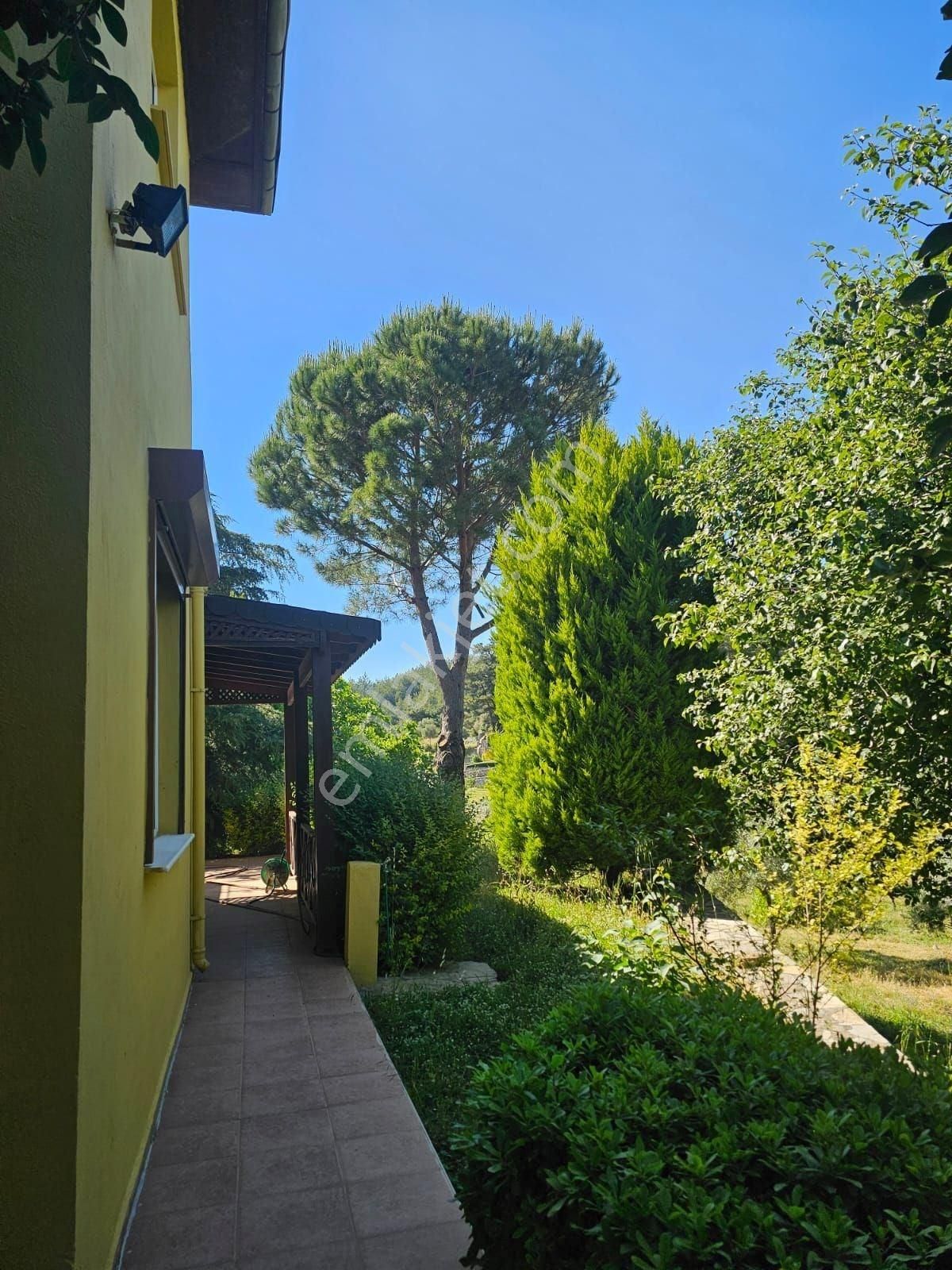 Büyük Fırsat Milas Korucukta Müstakil Villa Ve 6 Villalık Arsası - Görsel 11