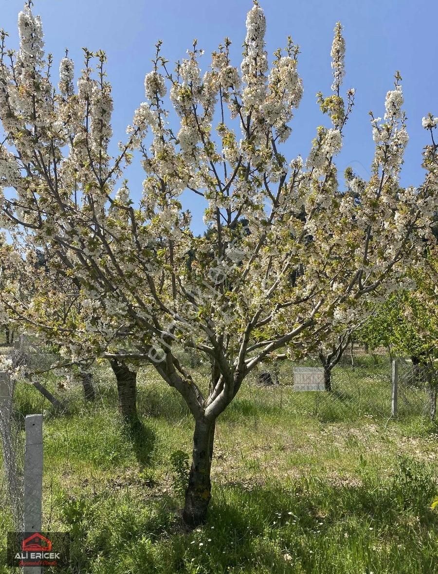 Yakaköy Merkeze 5 Dakika Mesafede Manzaralı Bahçe