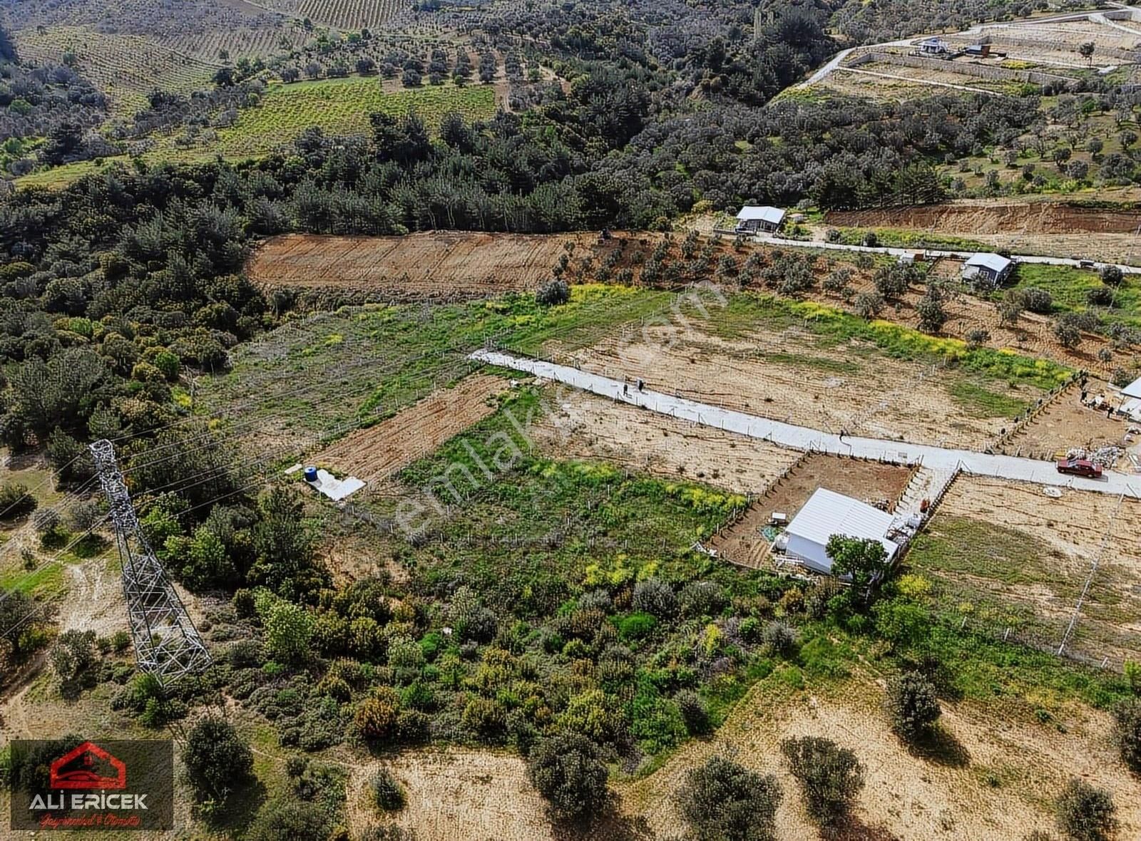 Kemalpaşa Çambelde Elektriği Hazır Satılık 535m² Bahçe - Görsel 13