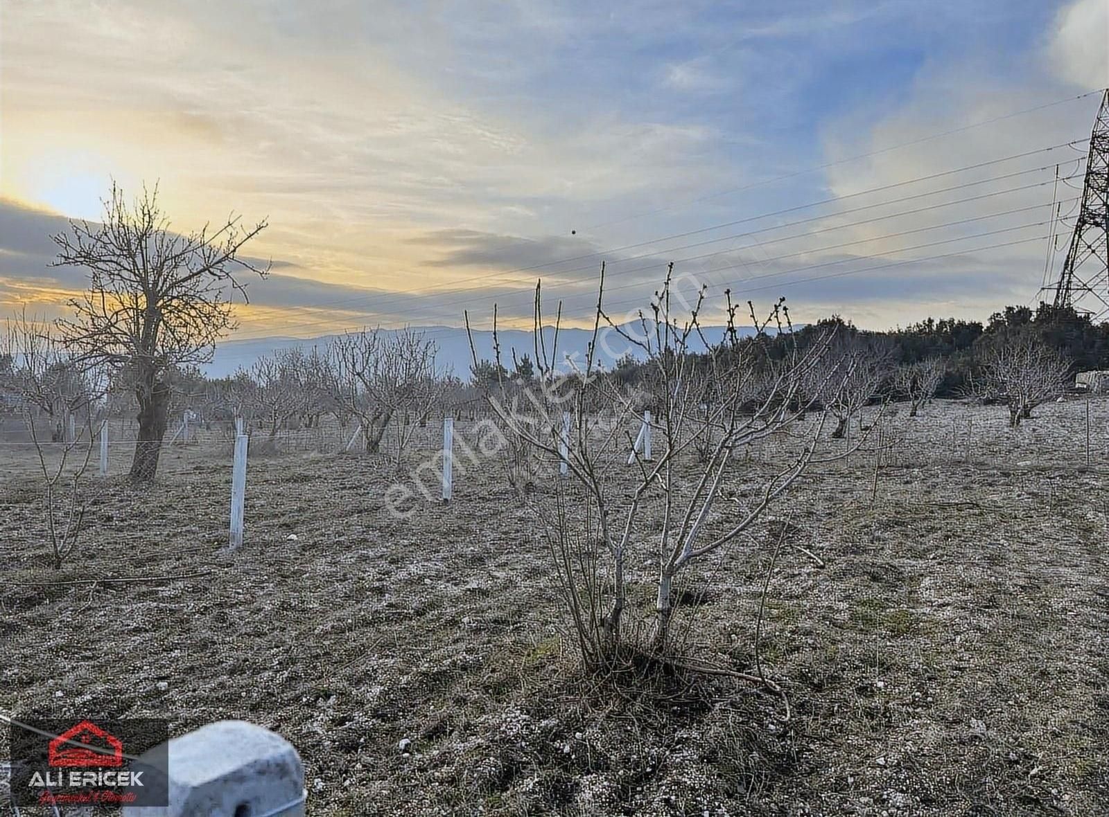 Bornova Beşyol Da Fırsat Son Parseller - Görsel 12