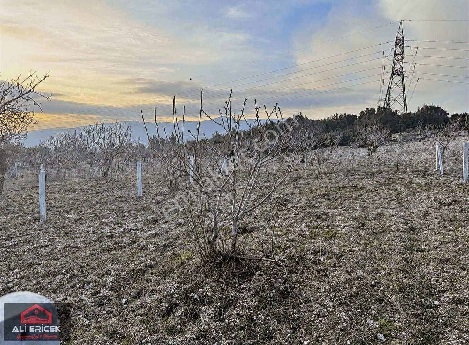 Bornova Beşyol Da Fırsat Son Parseller - Görsel 7