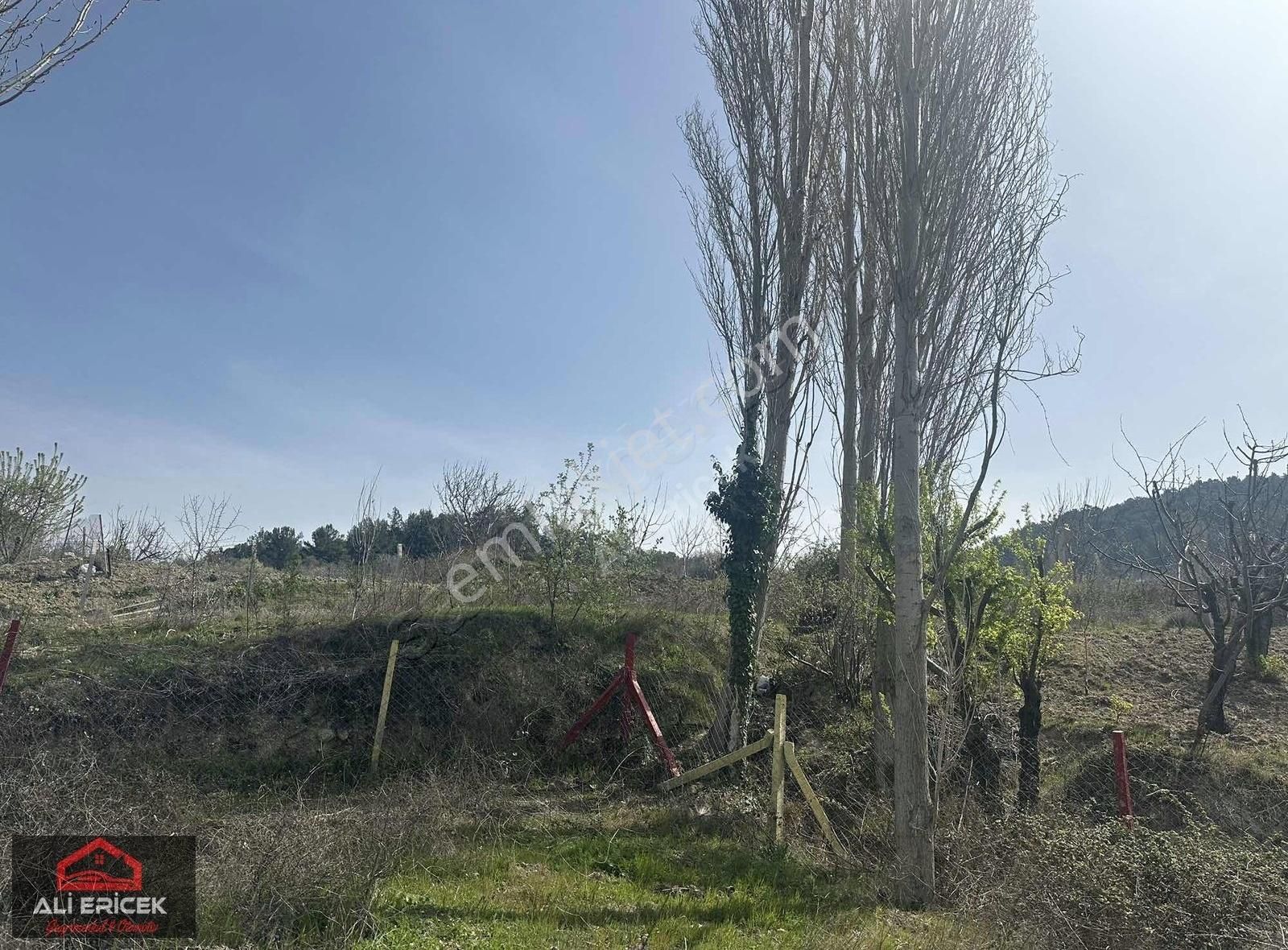 Kemalpaşa Damlacık Ta Tek Tapu Müstakil Parsel Arsa - Görsel 14