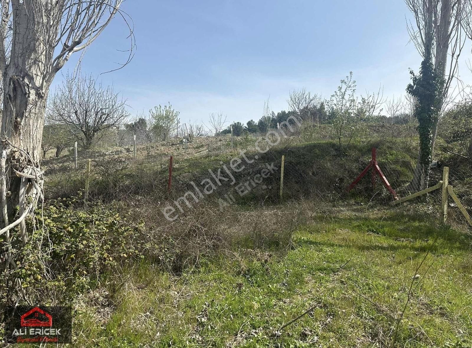 Kemalpaşa Damlacık Ta Tek Tapu Müstakil Parsel Arsa - Görsel 16