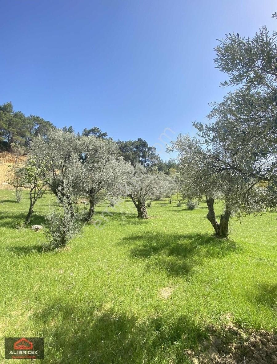 Bornova Çiçekliköy"de Emsalsiz Konumda Bahçe - Görsel 22