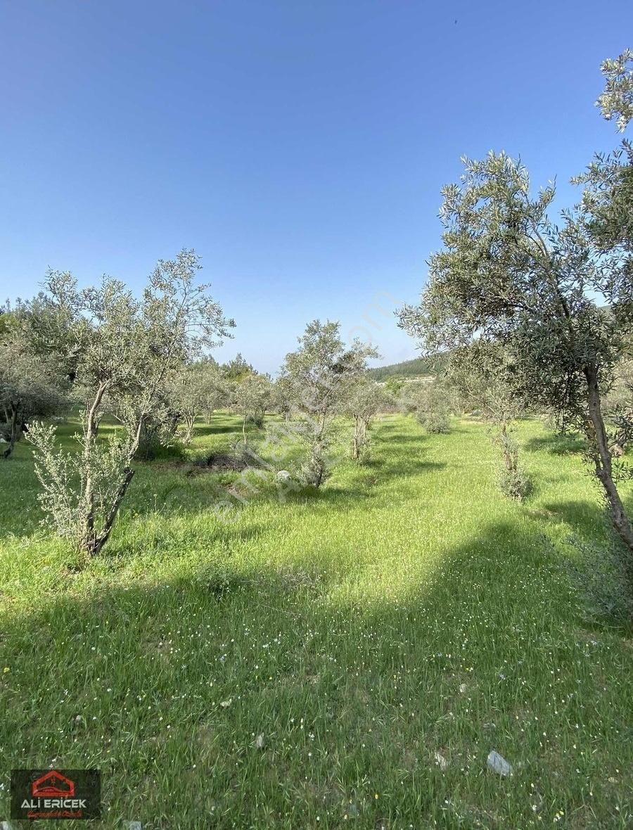 Bornova Çiçekliköy"de Emsalsiz Konumda Bahçe - Görsel 13