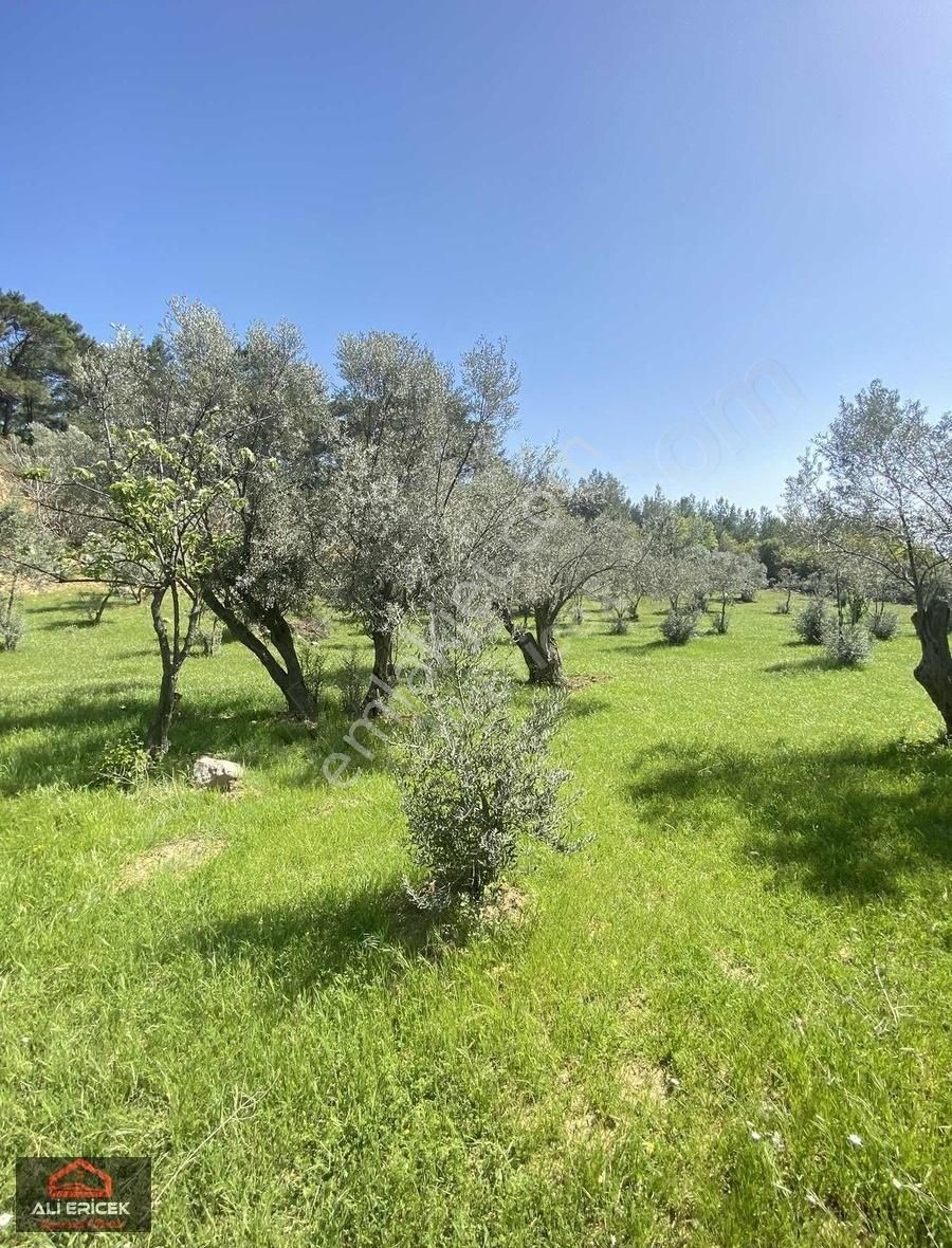 Bornova Çiçekliköy"de Emsalsiz Konumda Bahçe - Görsel 10