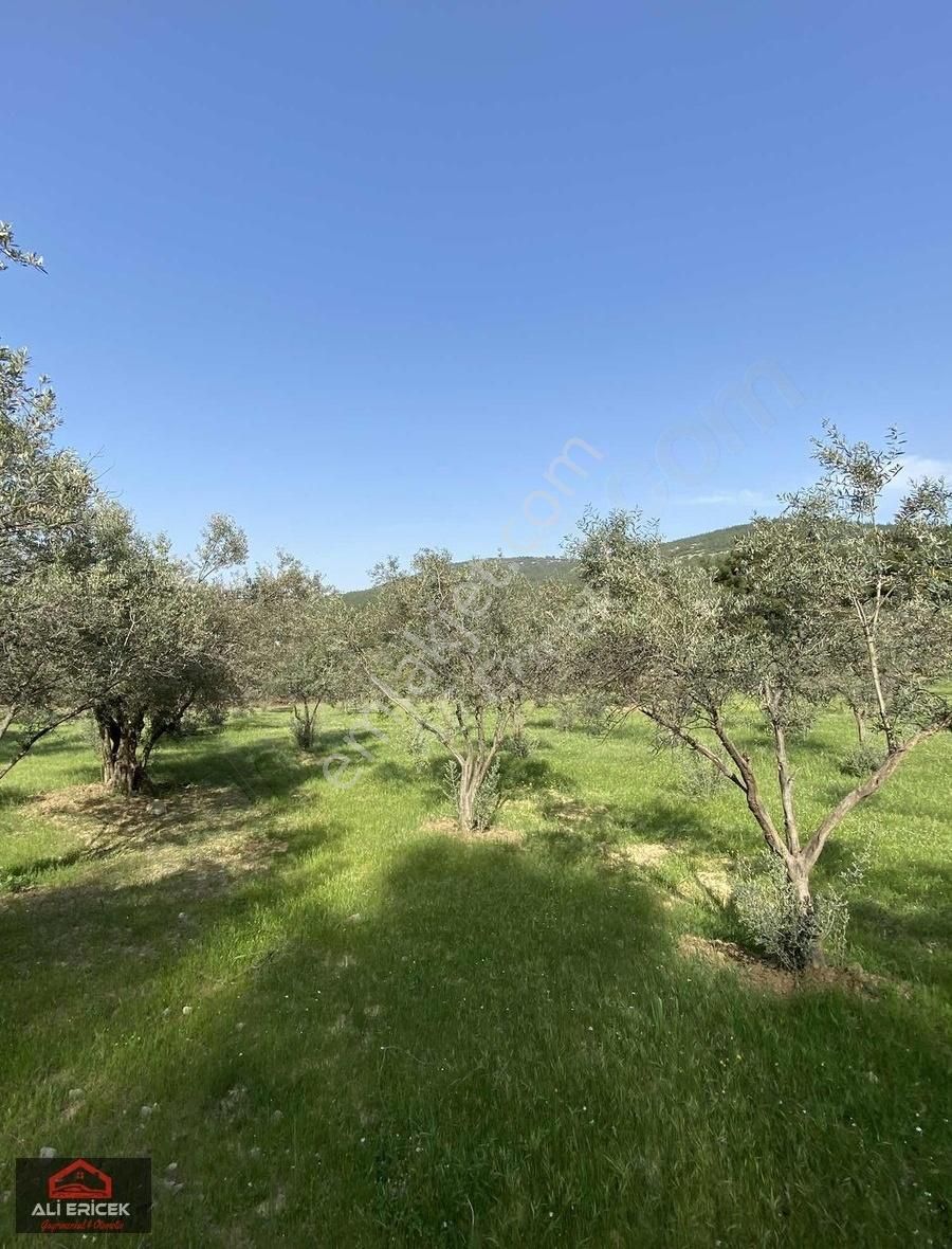 Bornova Çiçekliköy"de Emsalsiz Konumda Bahçe - Görsel 17