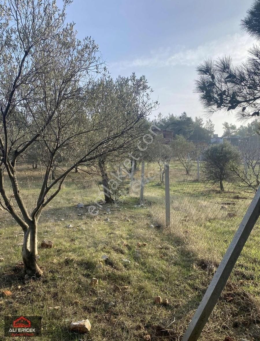 Mahalle Konumunda Elektrik Alınabilir,yaz Kış Rahat Ulaşım - Görsel 9