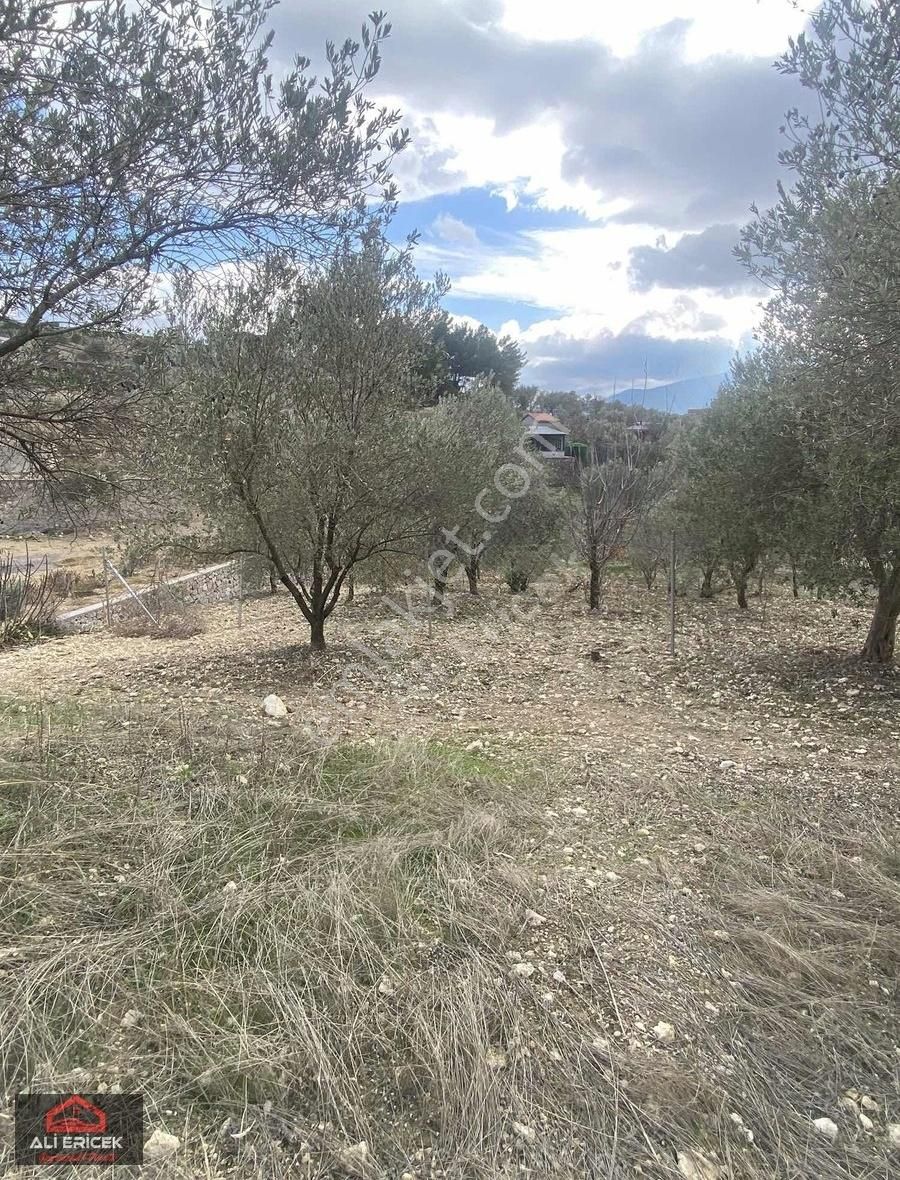 Mahalle Konumunda Elektrik Alınabilir,yaz Kış Rahat Ulaşım
