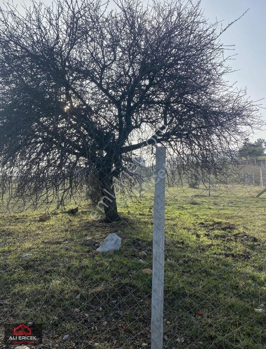 Mahalle Konumunda Elektrik Alınabilir,yaz Kış Rahat Ulaşım - Görsel 8