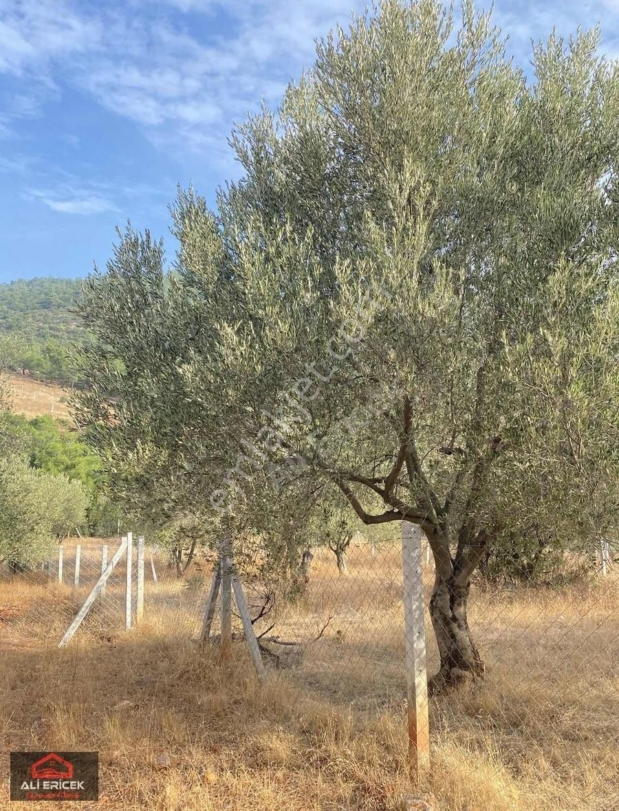 Mahalle Konumunda Elektrik Alınabilir,yaz Kış Rahat Ulaşım - Görsel 2