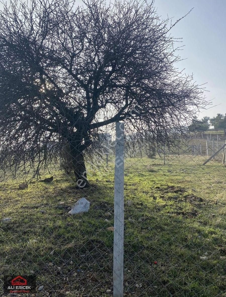 Mahalle Konumunda Elektrik Alınabilir,yaz Kış Rahat Ulaşım - Görsel 7