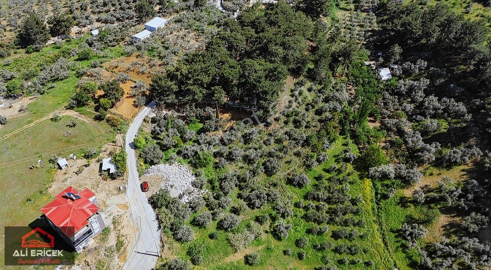 Aşağıkızılca Köy İmar Sınırında 2700m² Tektapu Uygun Fiyat Arazi - Görsel 18