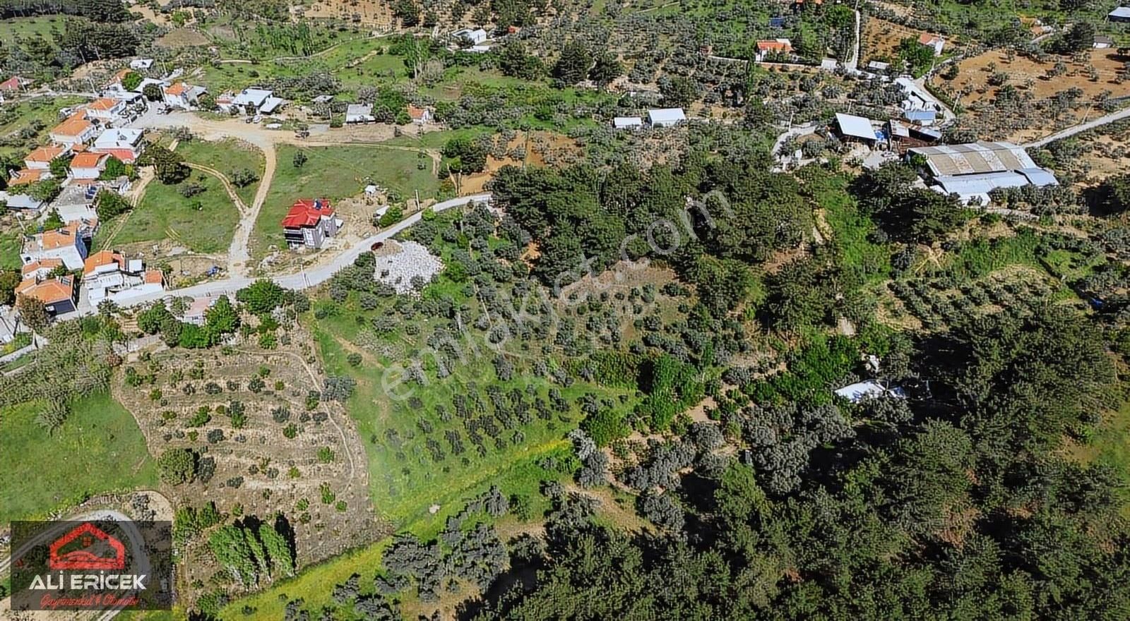 Aşağıkızılca Köy İmar Sınırında 2700m² Tektapu Uygun Fiyat Arazi - Görsel 15