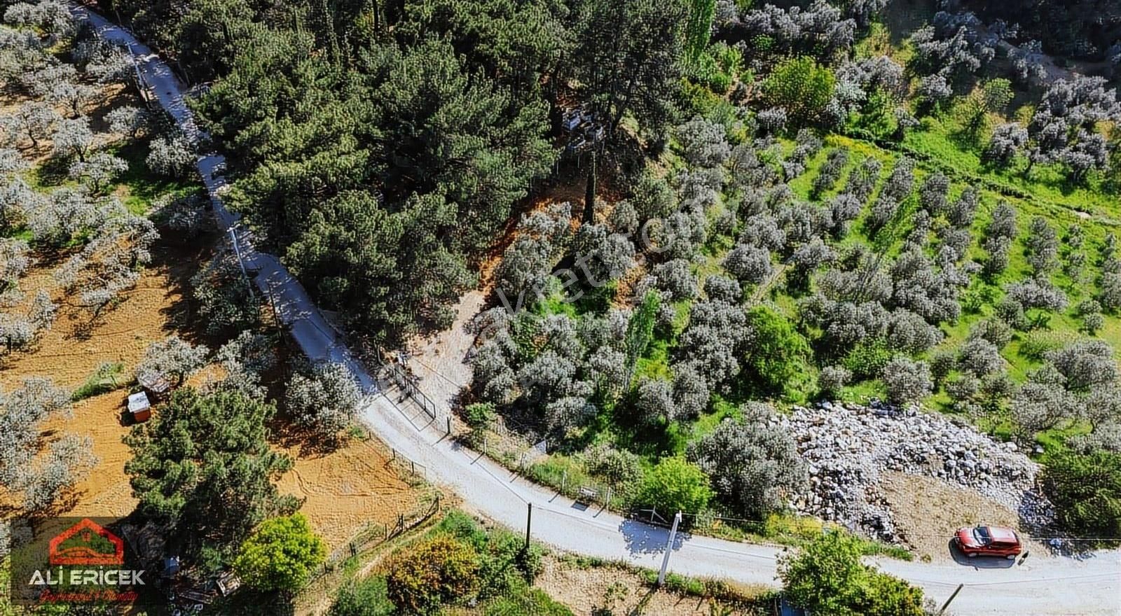 Aşağıkızılca Köy İmar Sınırında 2700m² Tektapu Uygun Fiyat Arazi - Görsel 17