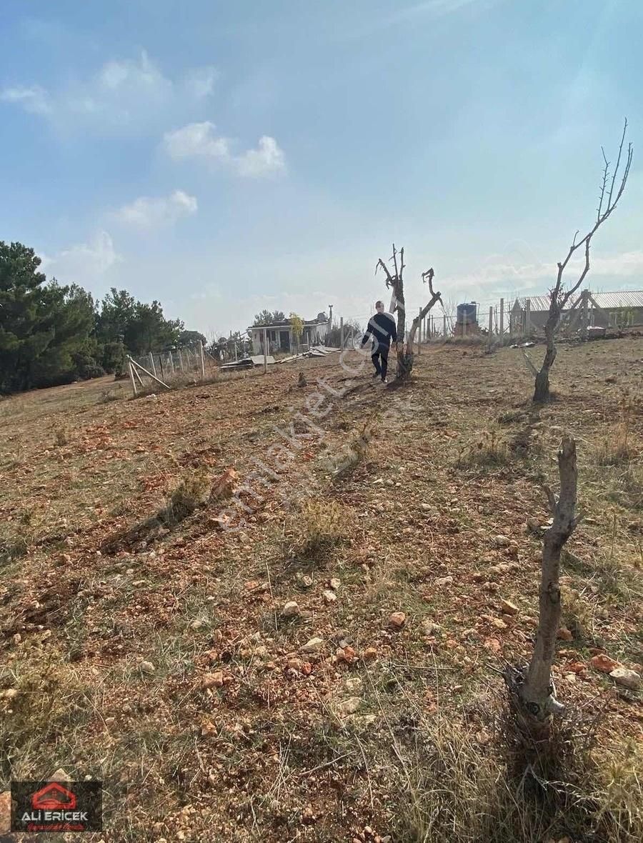 Damlacık Tapulu Manzaralı Bahçe - Görsel 19