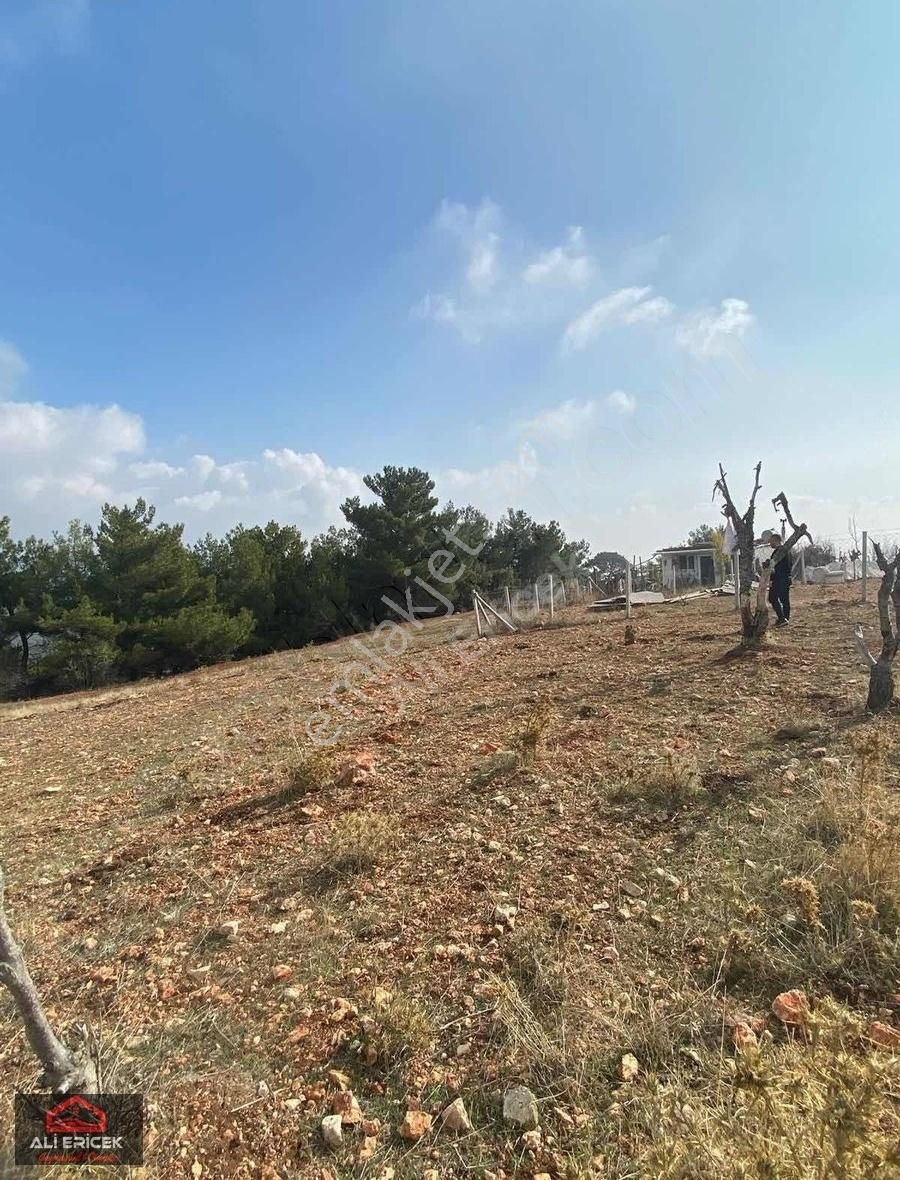 Damlacık Tapulu Manzaralı Bahçe - Görsel 11