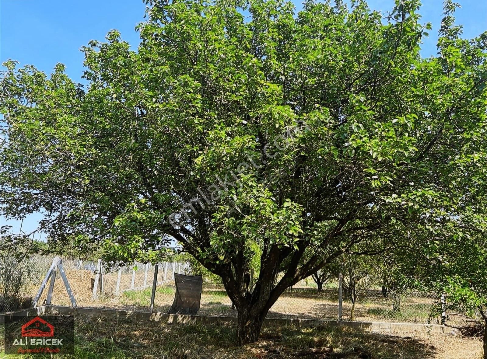 Kemapaşa Ören'de Elektriği Ve Suyu Hazır 827m2 Satılık Bahçe - Görsel 24
