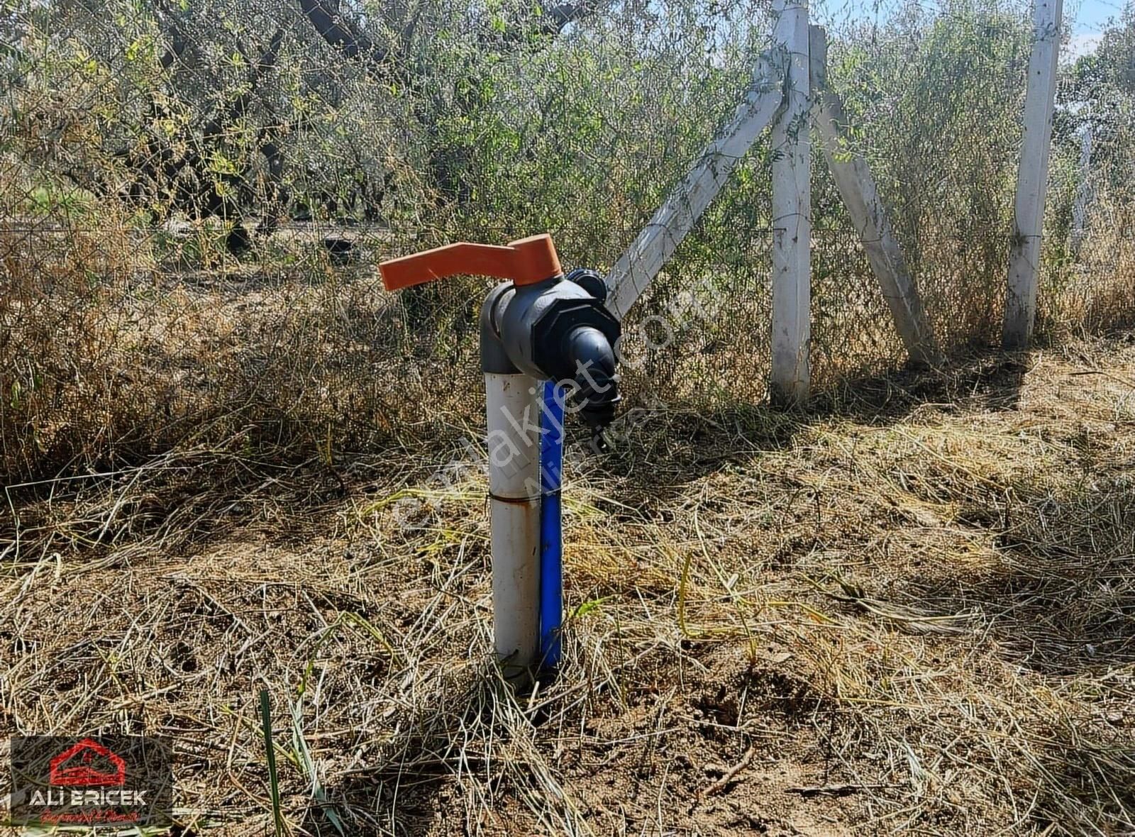 Kemapaşa Ören'de Elektriği Ve Suyu Hazır 827m2 Satılık Bahçe - Görsel 17
