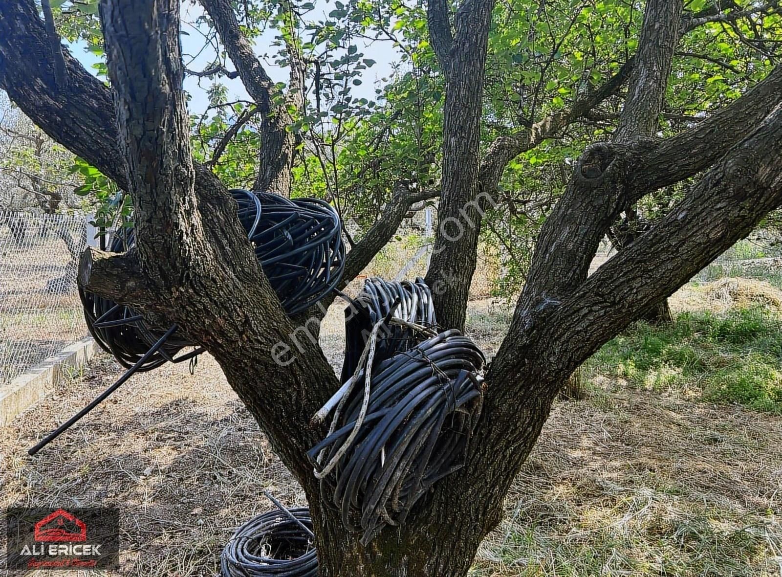 Kemapaşa Ören'de Elektriği Ve Suyu Hazır 827m2 Satılık Bahçe - Görsel 3