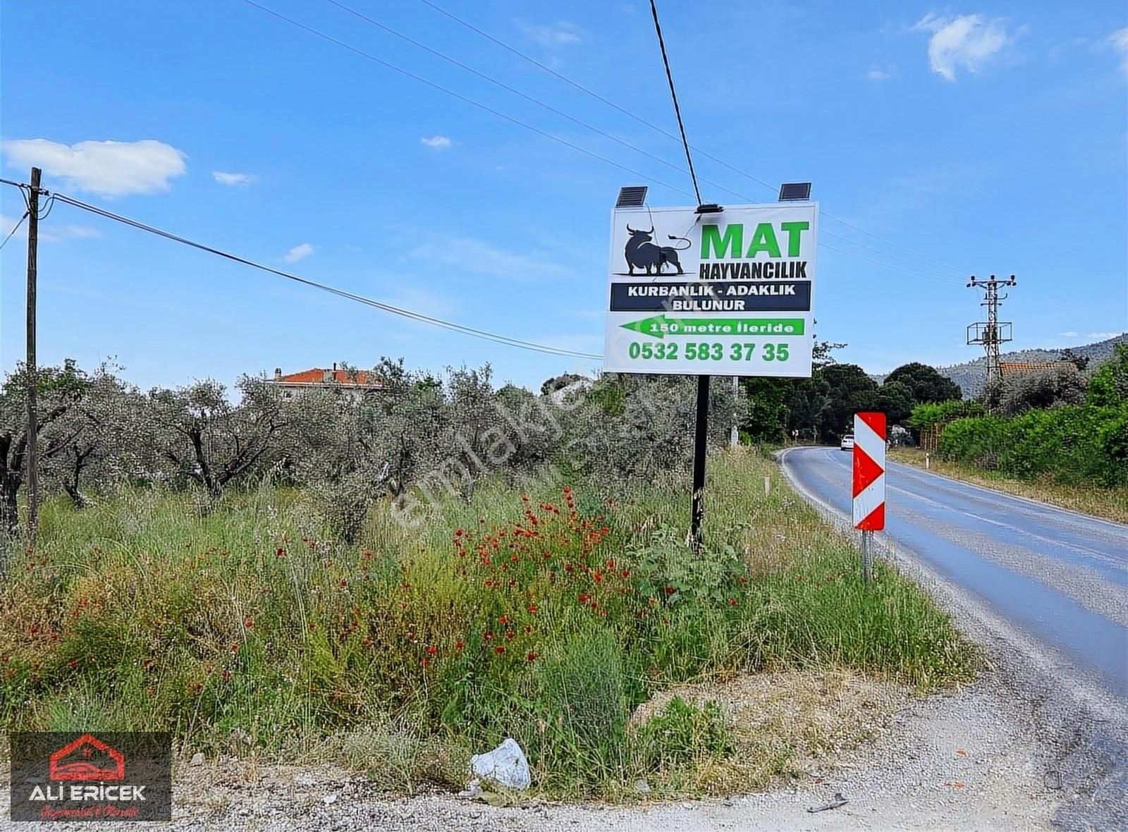 Kemapaşa Ören'de Elektriği Ve Suyu Hazır 827m2 Satılık Bahçe - Görsel 8