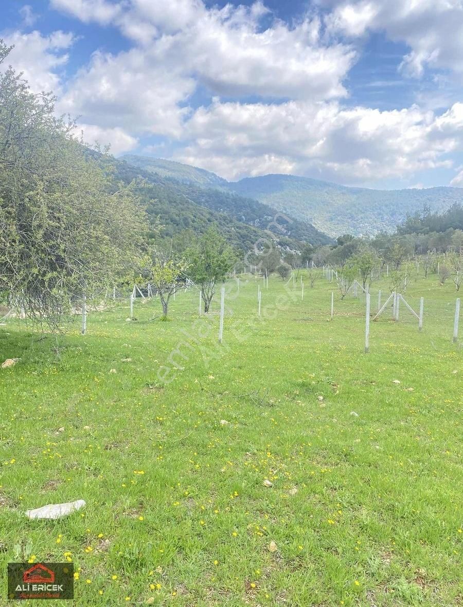 Düz Zemin Yaz Kış İkamet Eden Komşuları Mevcut Bahçe - Görsel 18