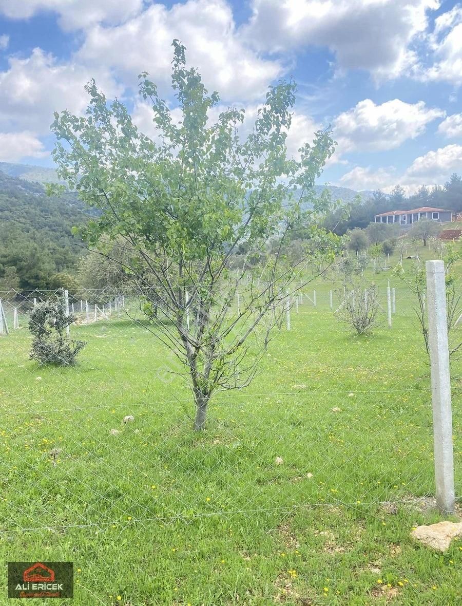 Düz Zemin Yaz Kış İkamet Eden Komşuları Mevcut Bahçe - Görsel 23