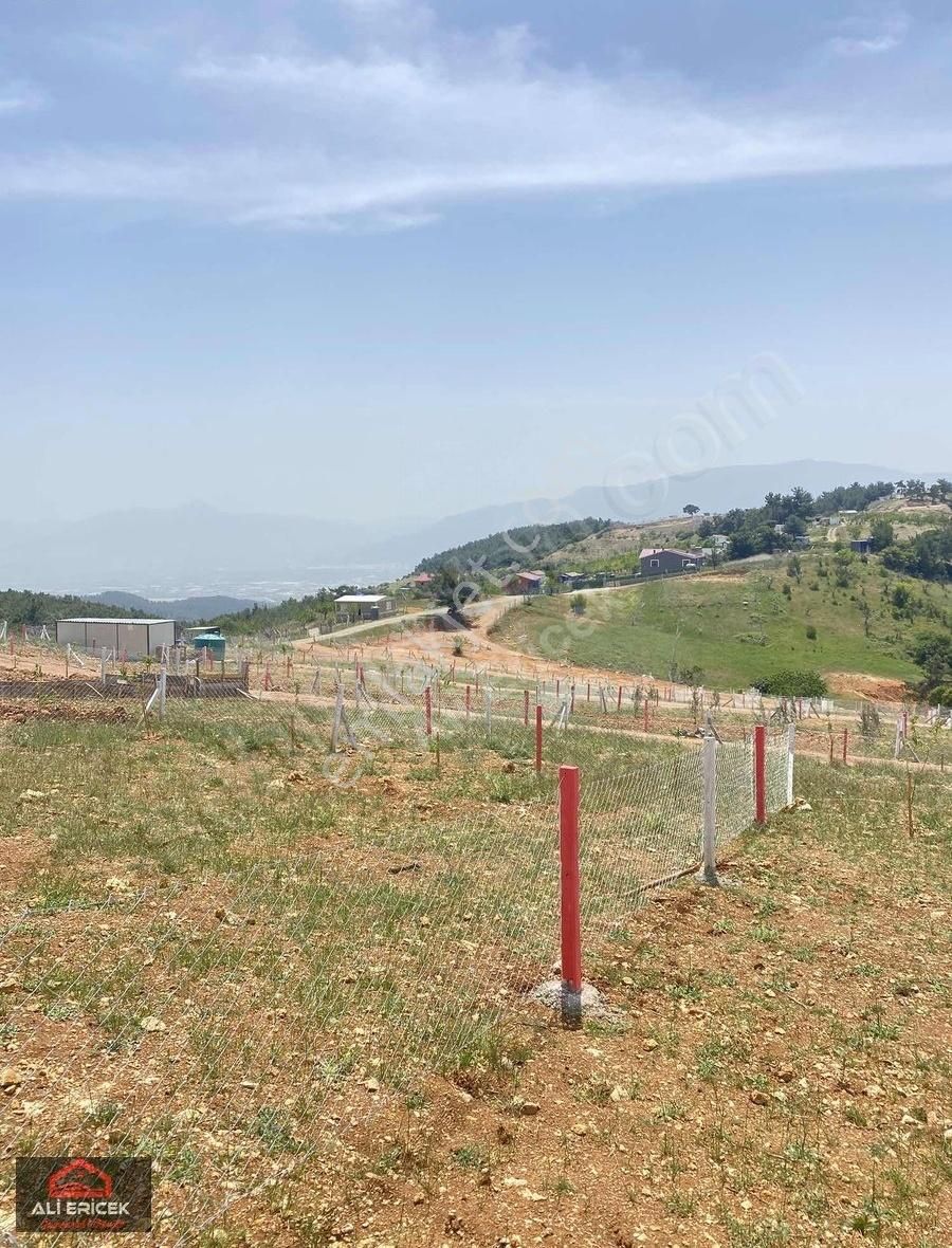 Manzara Şampiyonu Doğanın Tam Kalbinde Düz Zemin Bahçe - Görsel 23