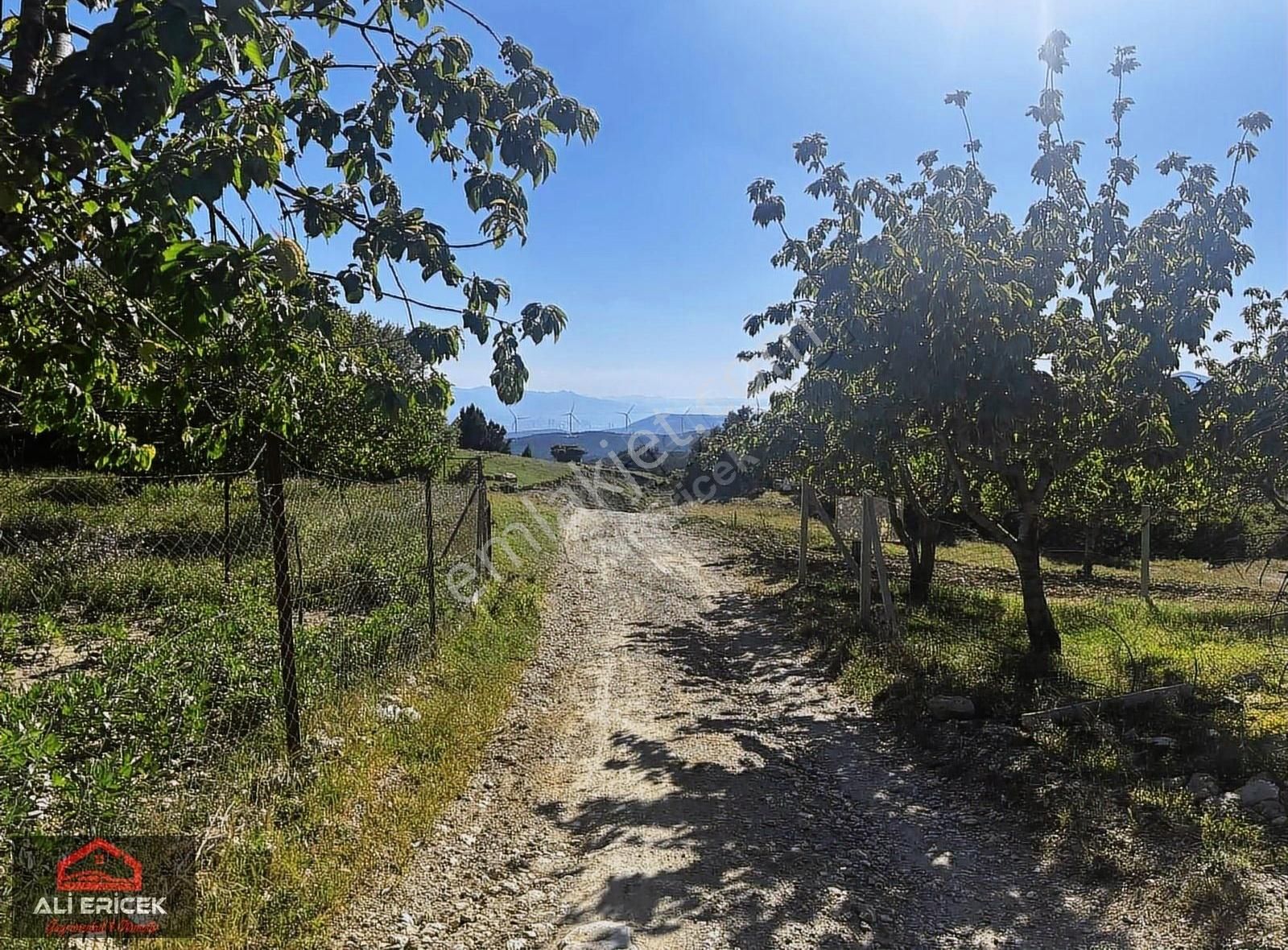 Damlacık Ericek Mevki Kupon Bahçe