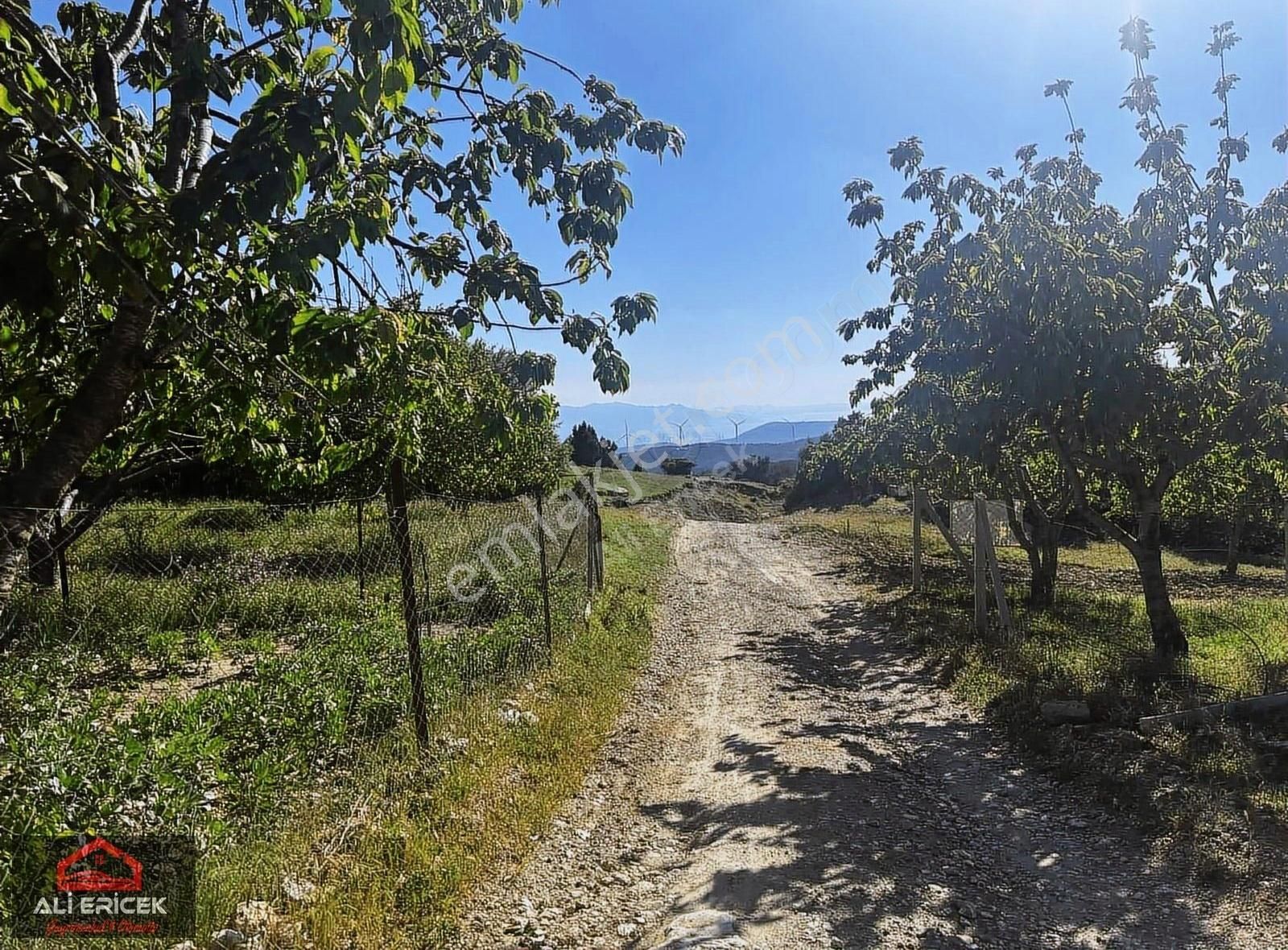 Damlacık Ericek Mevki Kupon Bahçe - Görsel 13