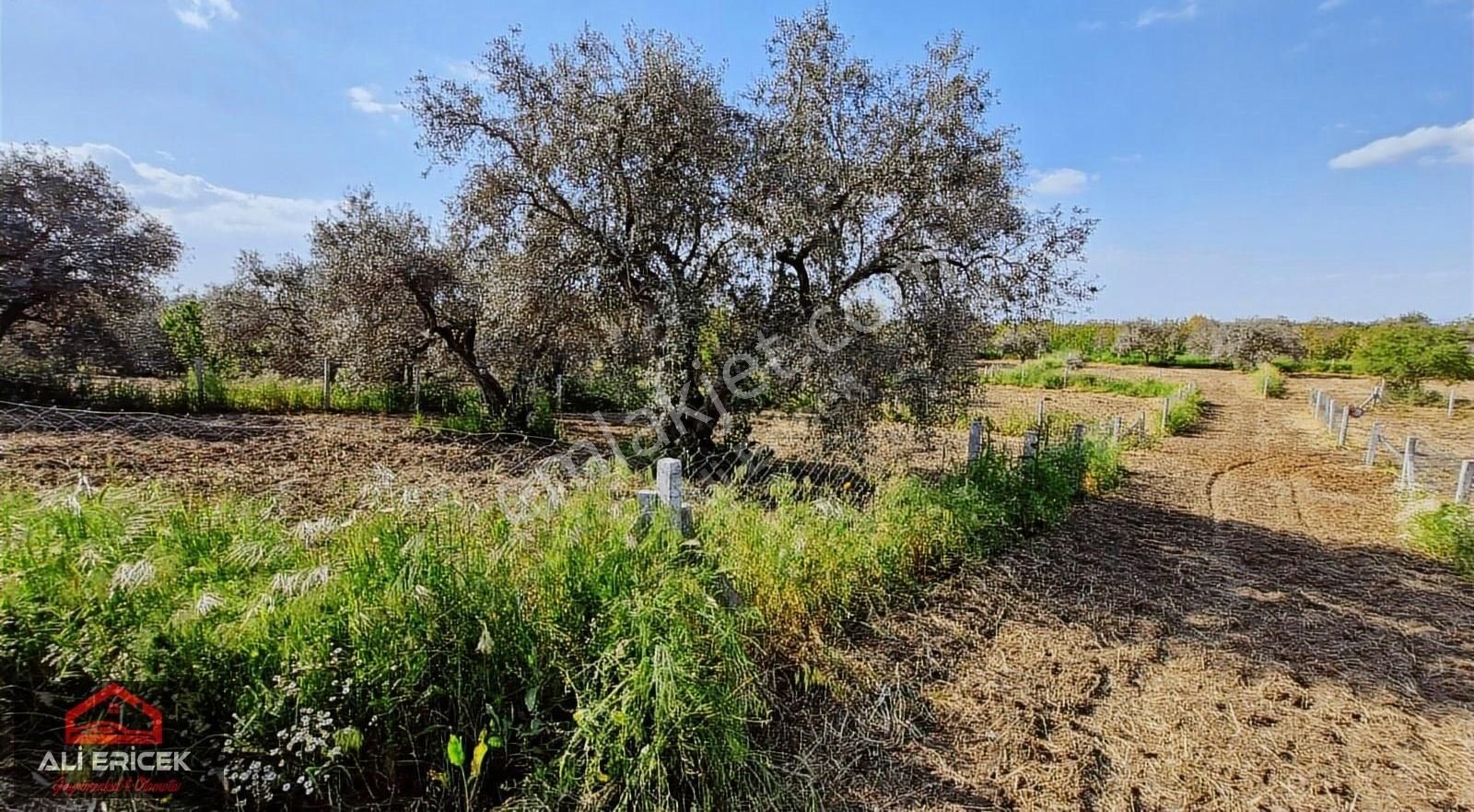 Kemalpaşa Halilbeylide Satılık 300m² Tapulu Bahçeler - Görsel 6