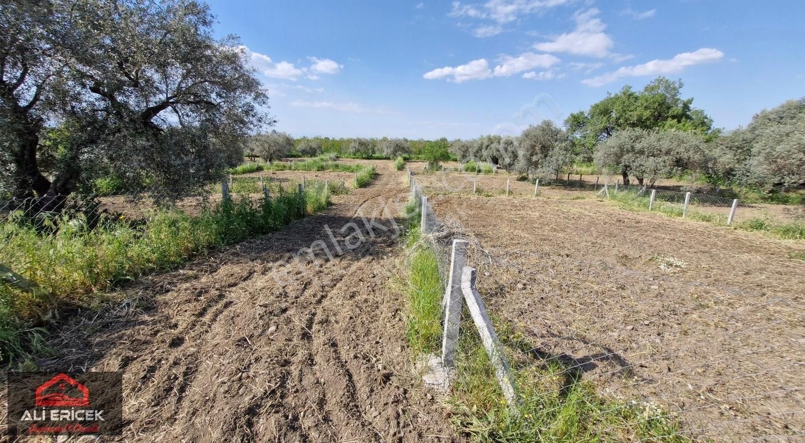 Kemalpaşa Halilbeylide Satılık 300m² Tapulu Bahçeler - Görsel 3