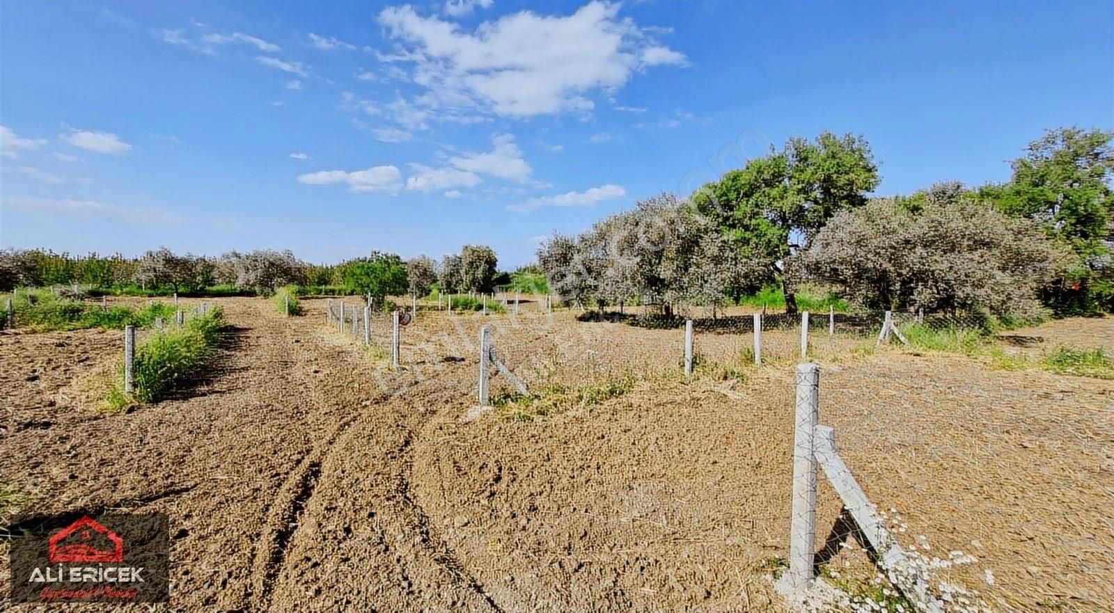 Kemalpaşa Halilbeylide Satılık 300m² Tapulu Bahçeler - Görsel 8