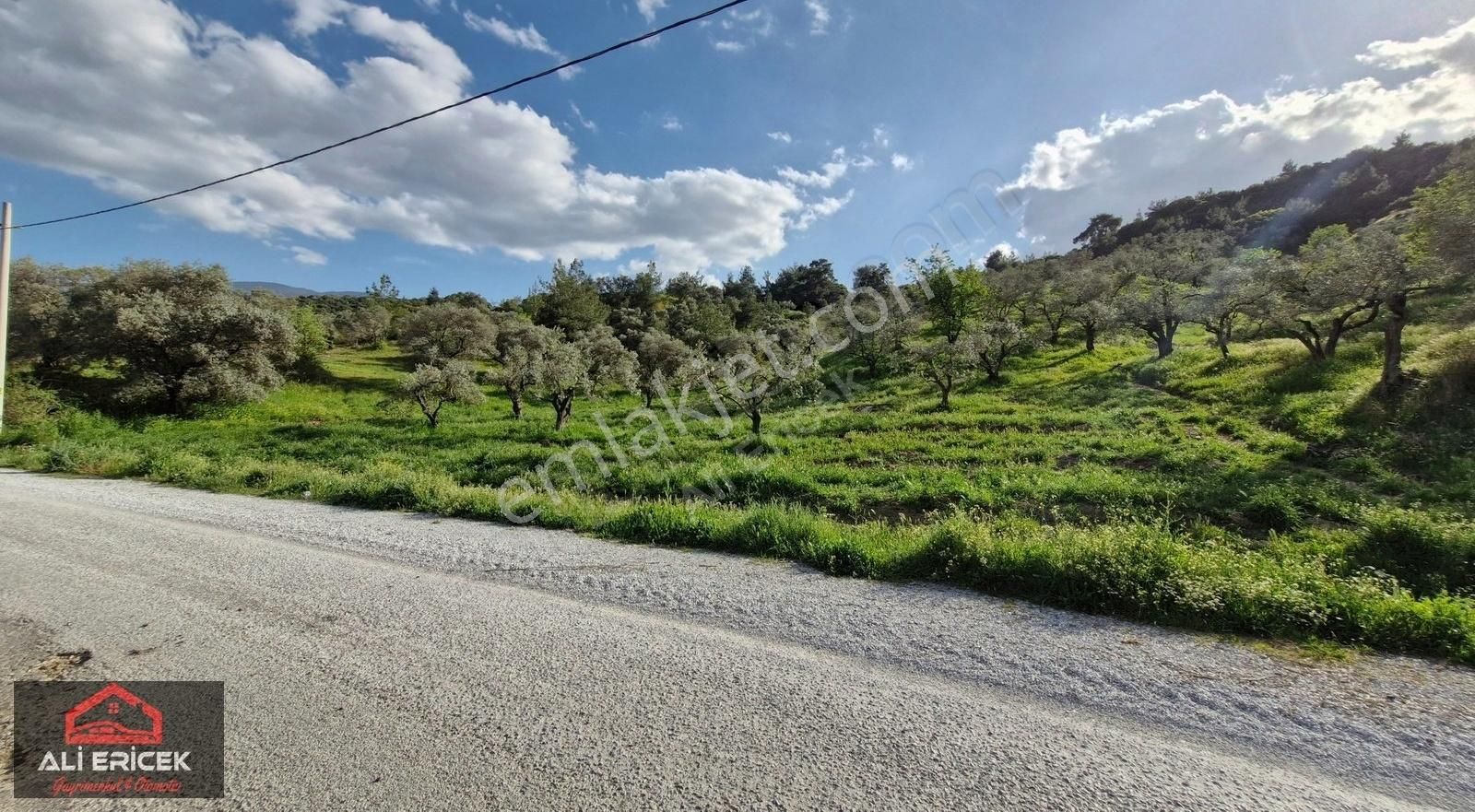 Kemalpaşa Yeşilyurt Ta Satılık 8.550 M² Tek Tapu Depo Arazisi