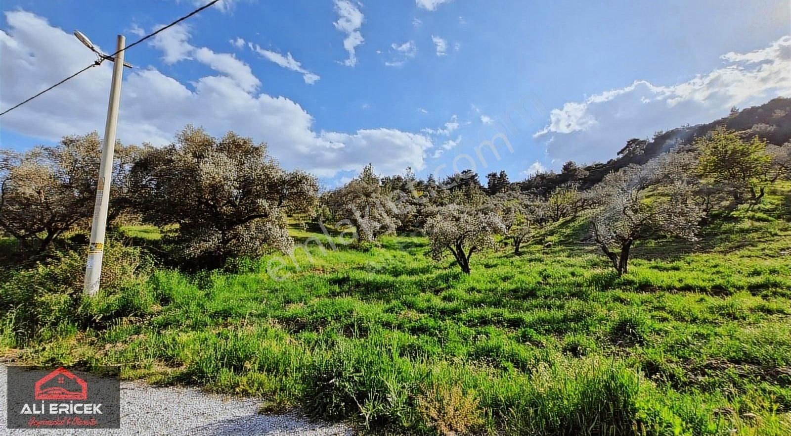 Kemalpaşa Yeşilyurt Ta Satılık 8.550 M² Tek Tapu Depo Arazisi - Görsel 2
