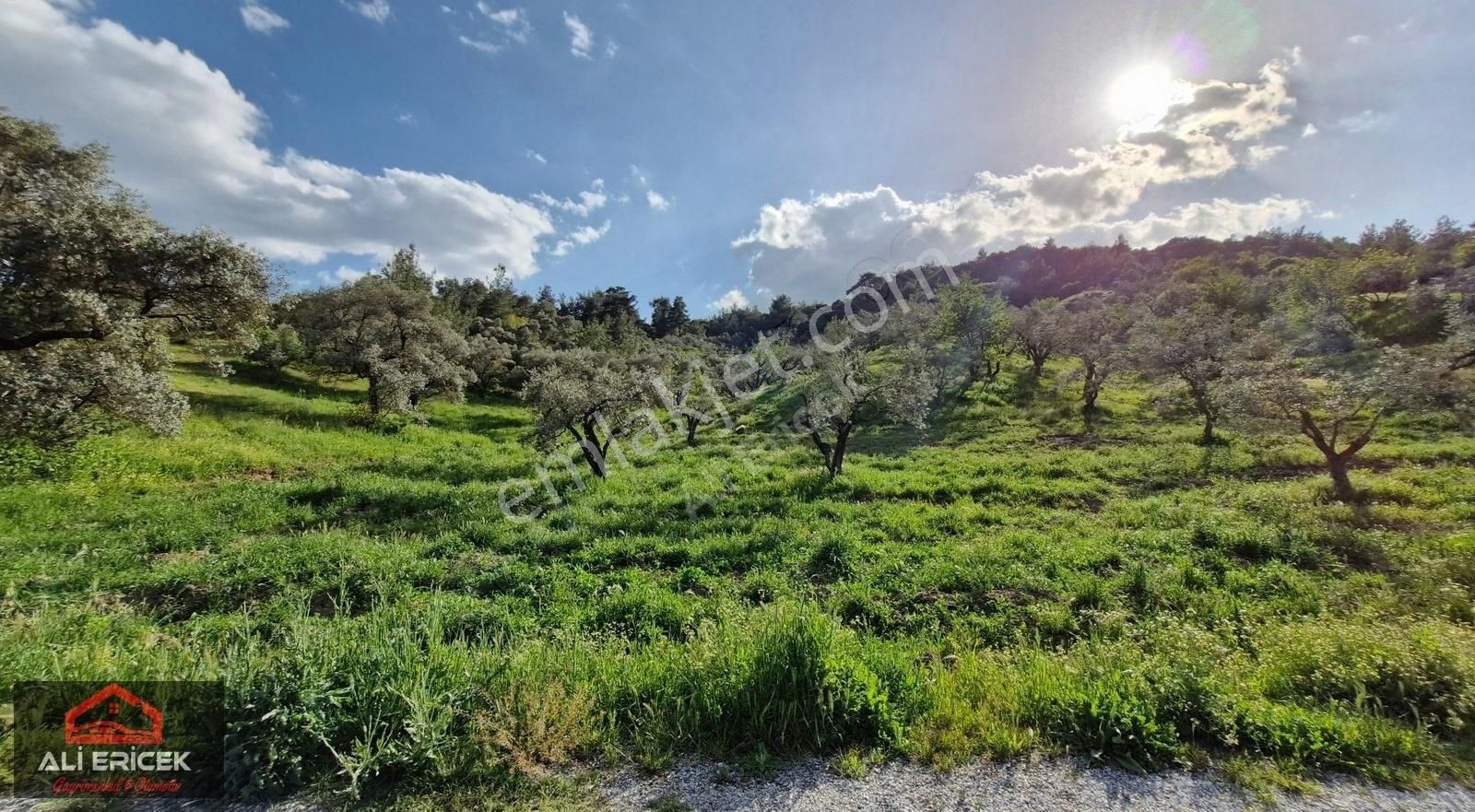 Kemalpaşa Yeşilyurt Ta Satılık 8.550 M² Tek Tapu Depo Arazisi - Görsel 5