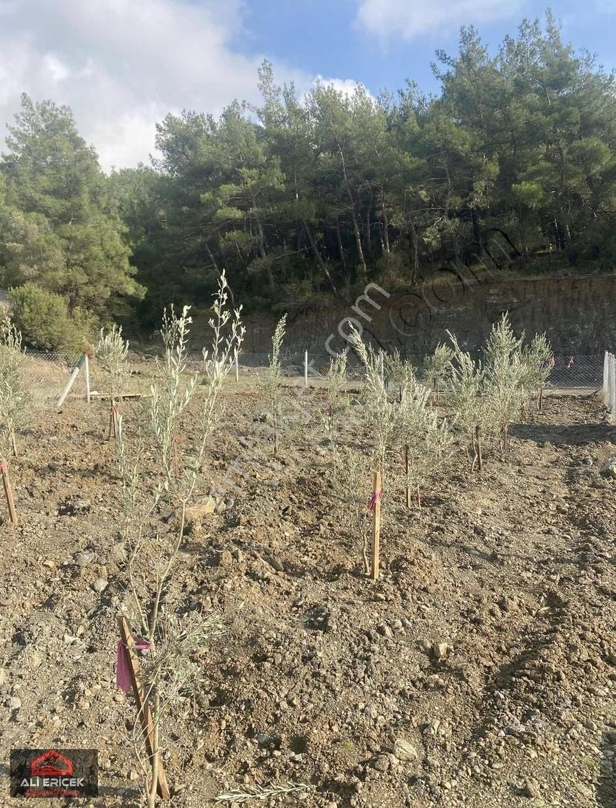 Doğayla İç İçe Sakinlik Arayanlara Rahat Ulaşıma Sahip Bahçeler - Görsel 14