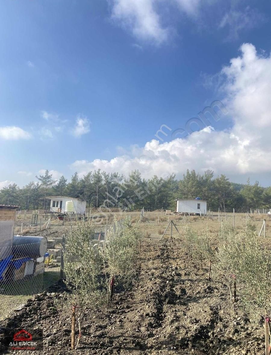 Doğayla İç İçe Sakinlik Arayanlara Rahat Ulaşıma Sahip Bahçeler - Görsel 13